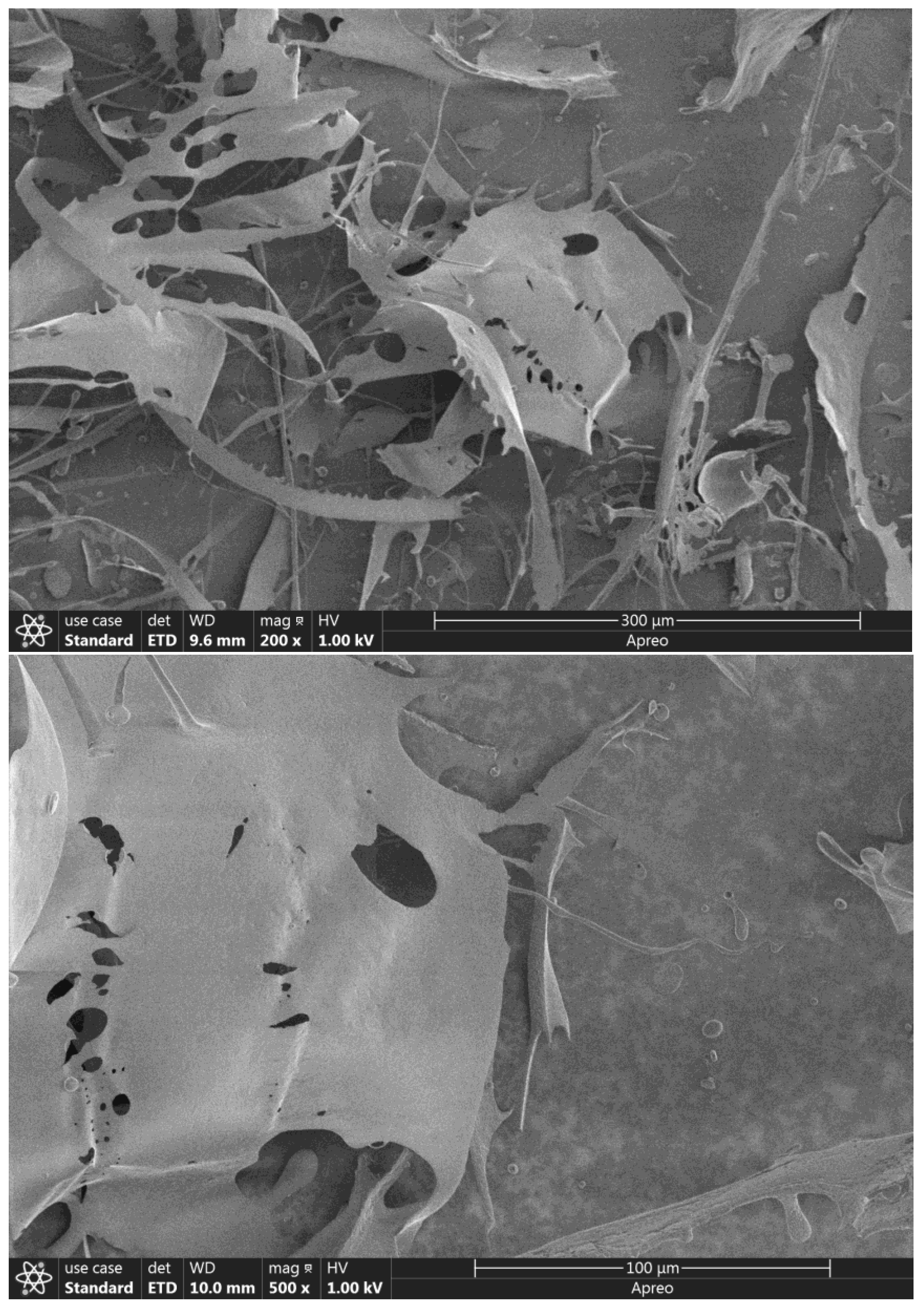 Molecules 27 08036 g004