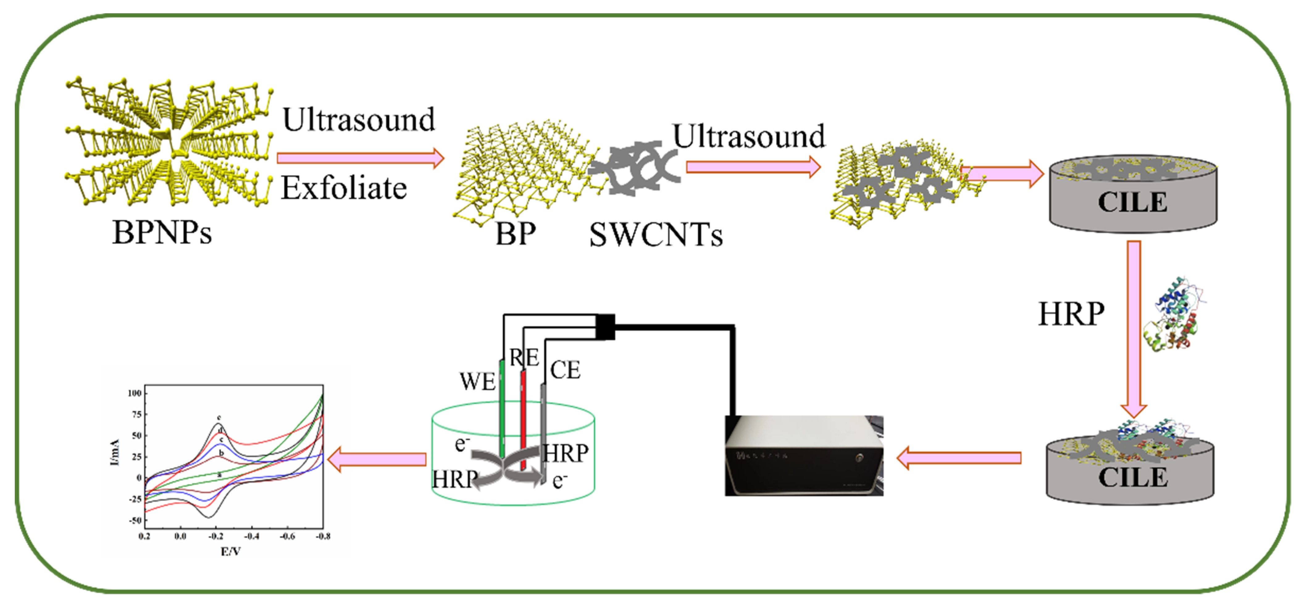 Molecules 27 08064 sch001 Molecules 27 08064 sch001