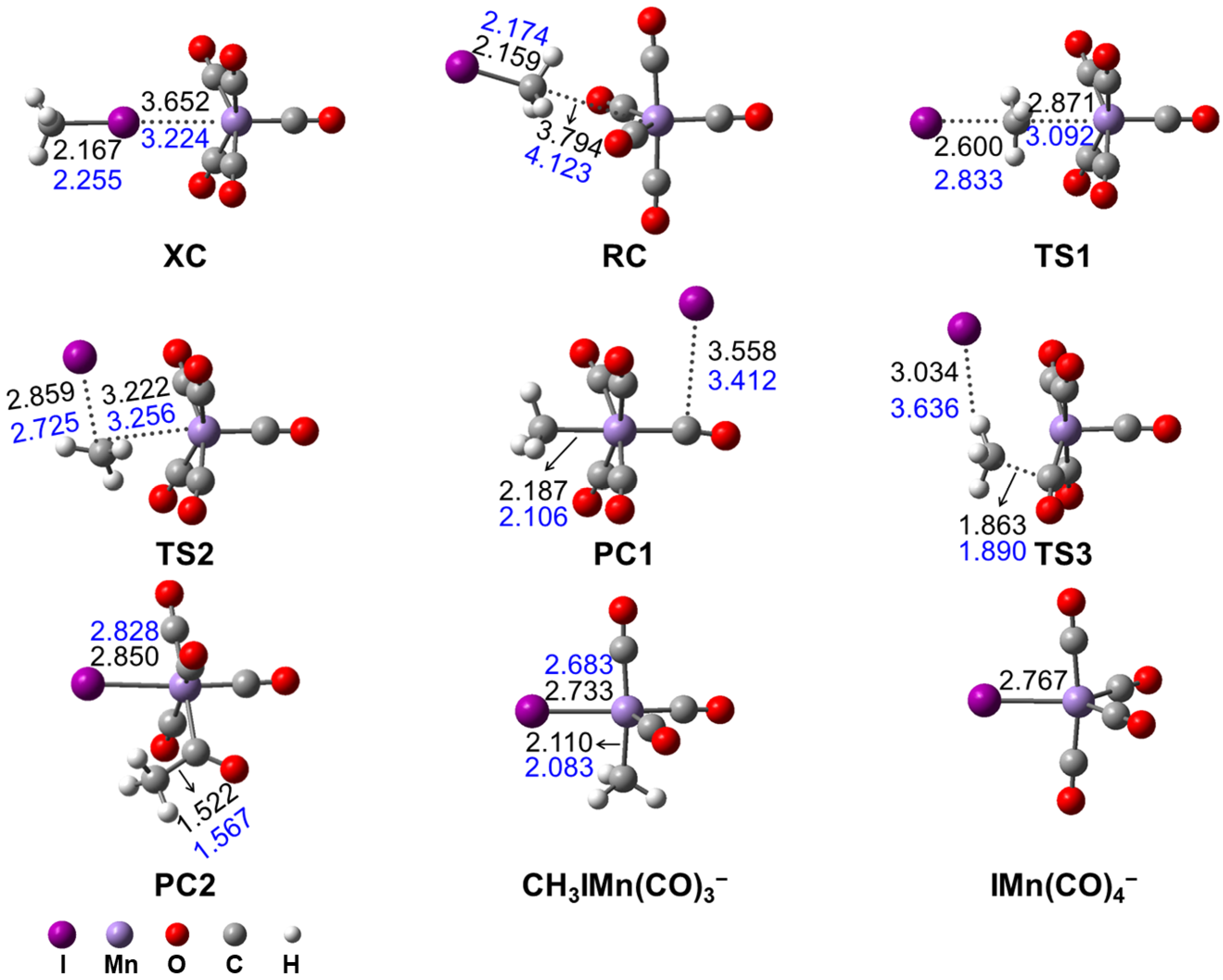 Molecules 27 08069 g003 Molecules 27 08069 g003