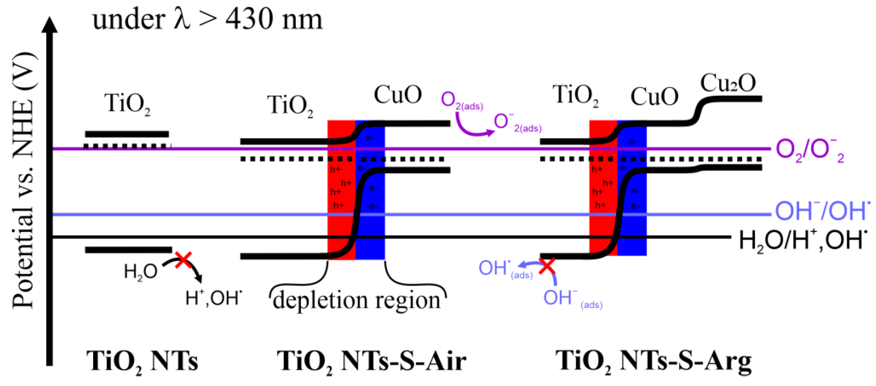 Molecules 27 08080 g010 Molecules 27 08080 g010