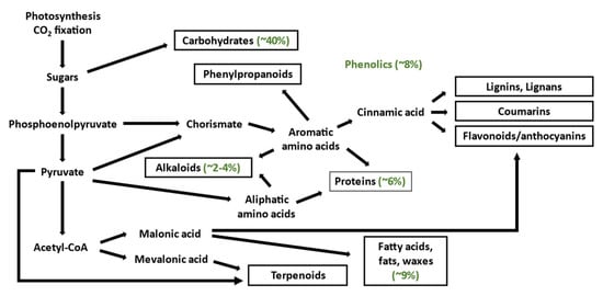 Molecules | Free Full-Text | Fractionation and Extraction