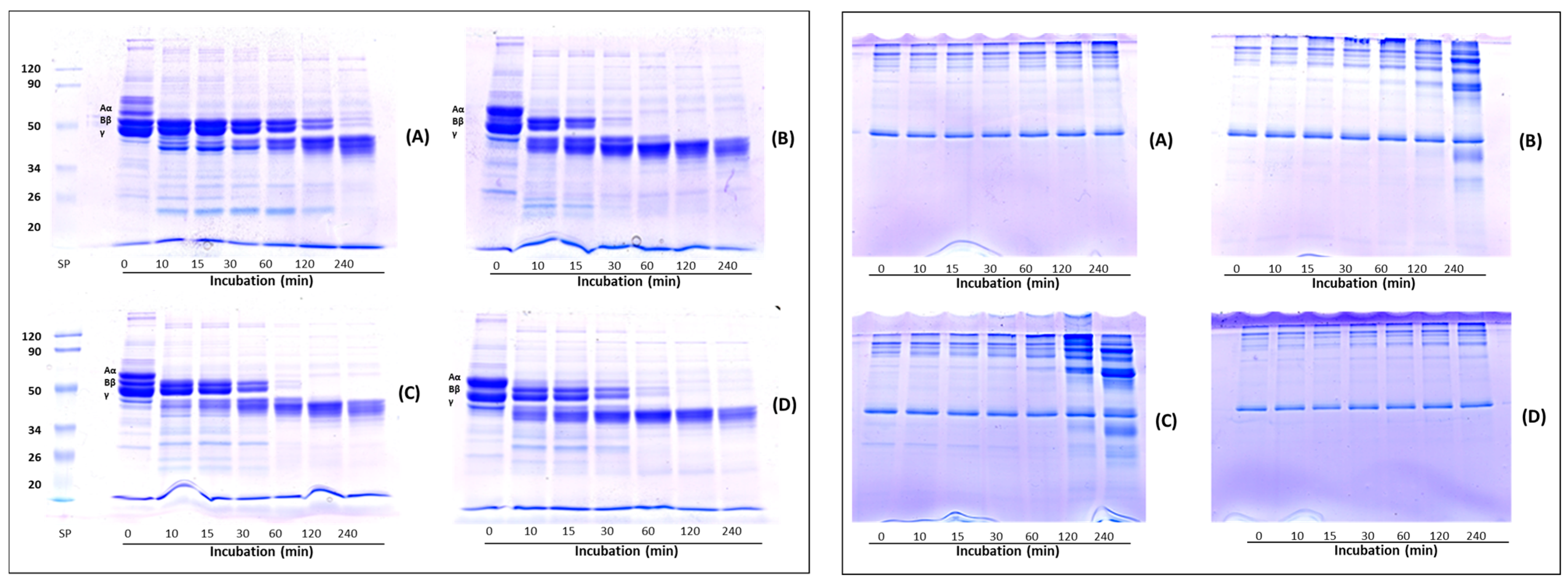 Molecules 27 08145 g004