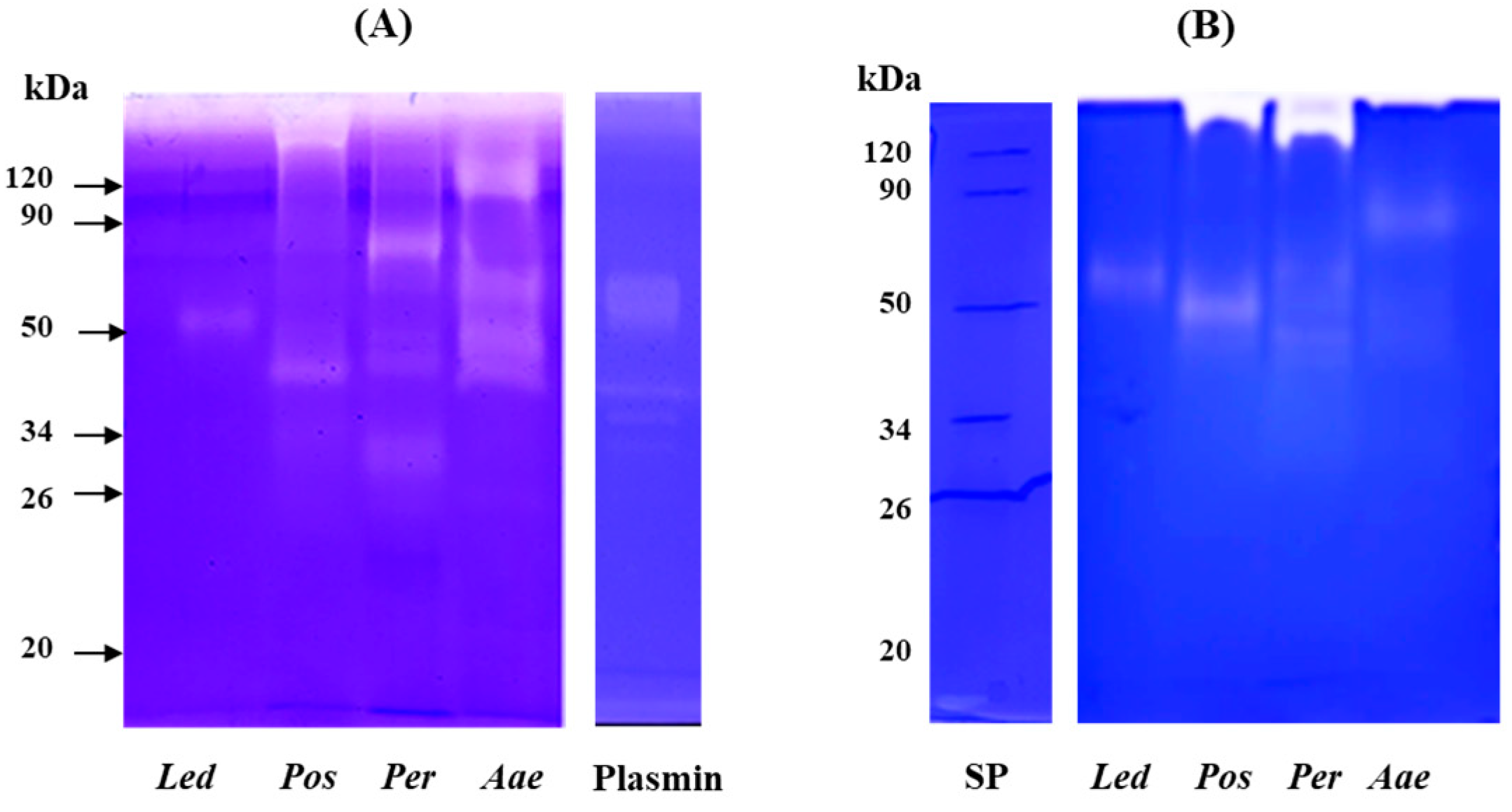 Molecules 27 08145 g005