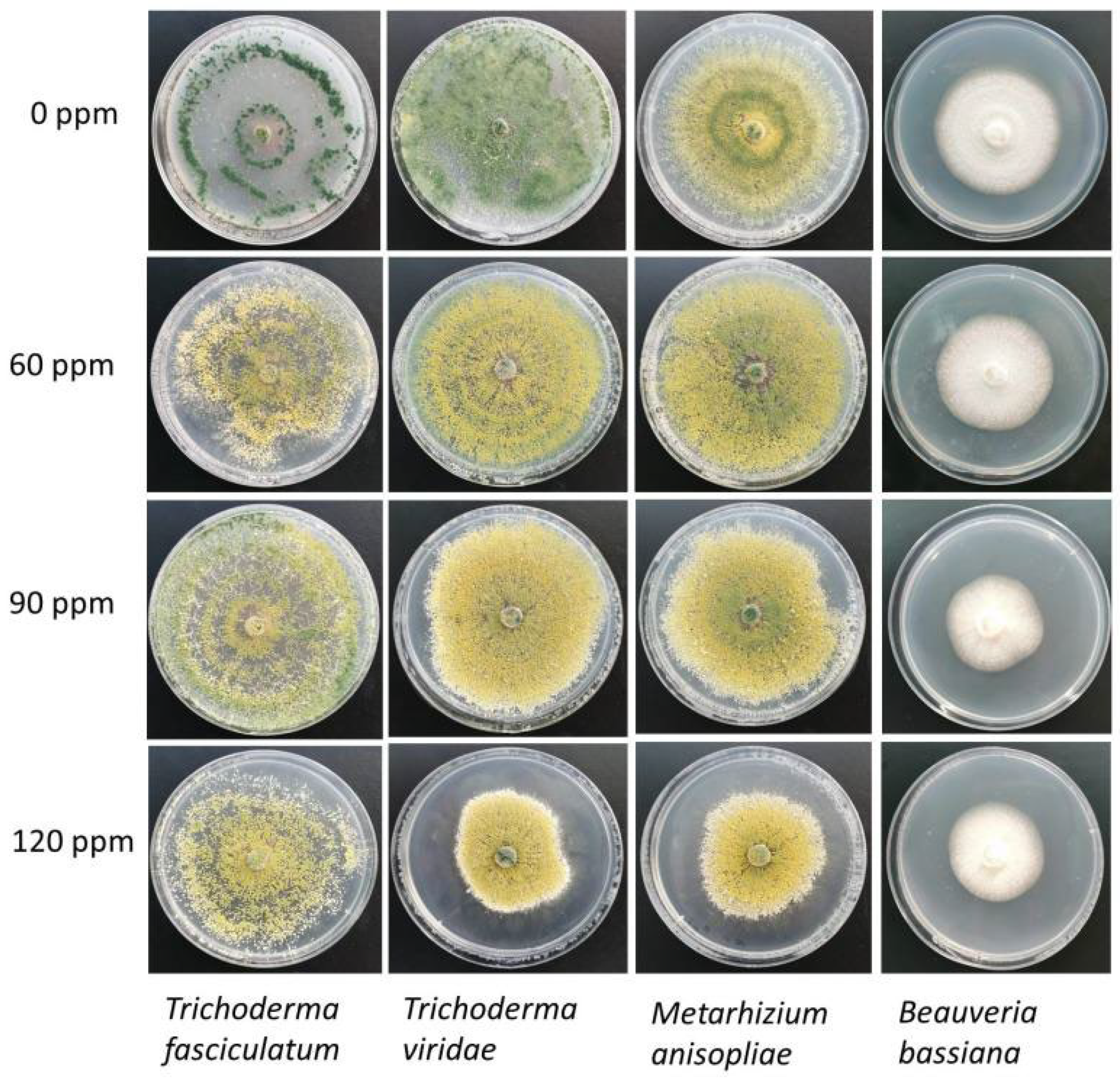 Molecules 27 08147 g003