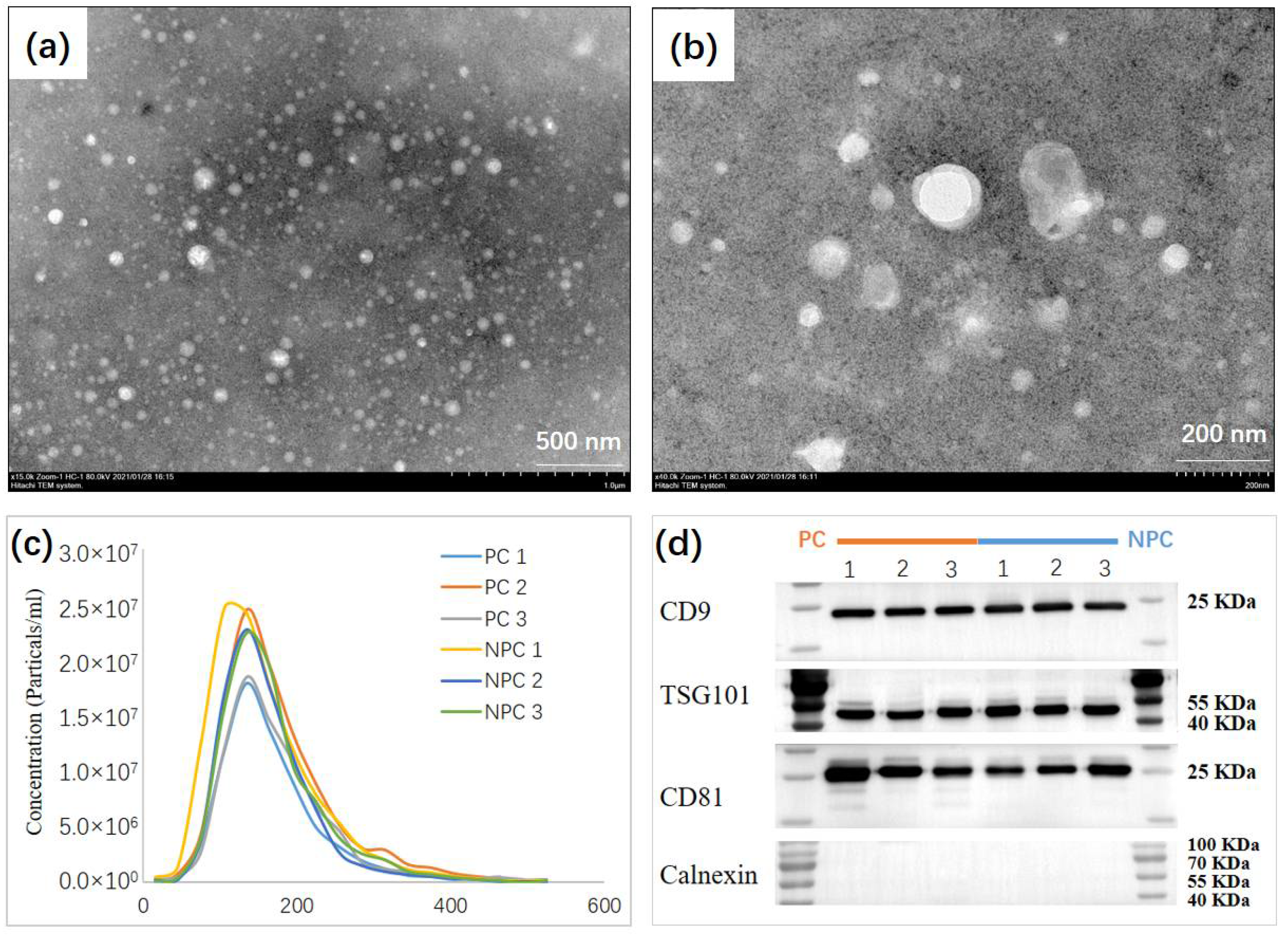 Molecules 27 08155 g002 Molecules 27 08155 g002