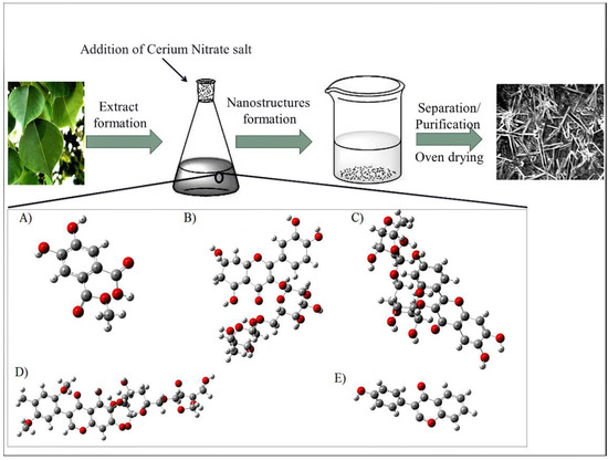 Highly antimicrobial activity of cerium oxide nanoparticles