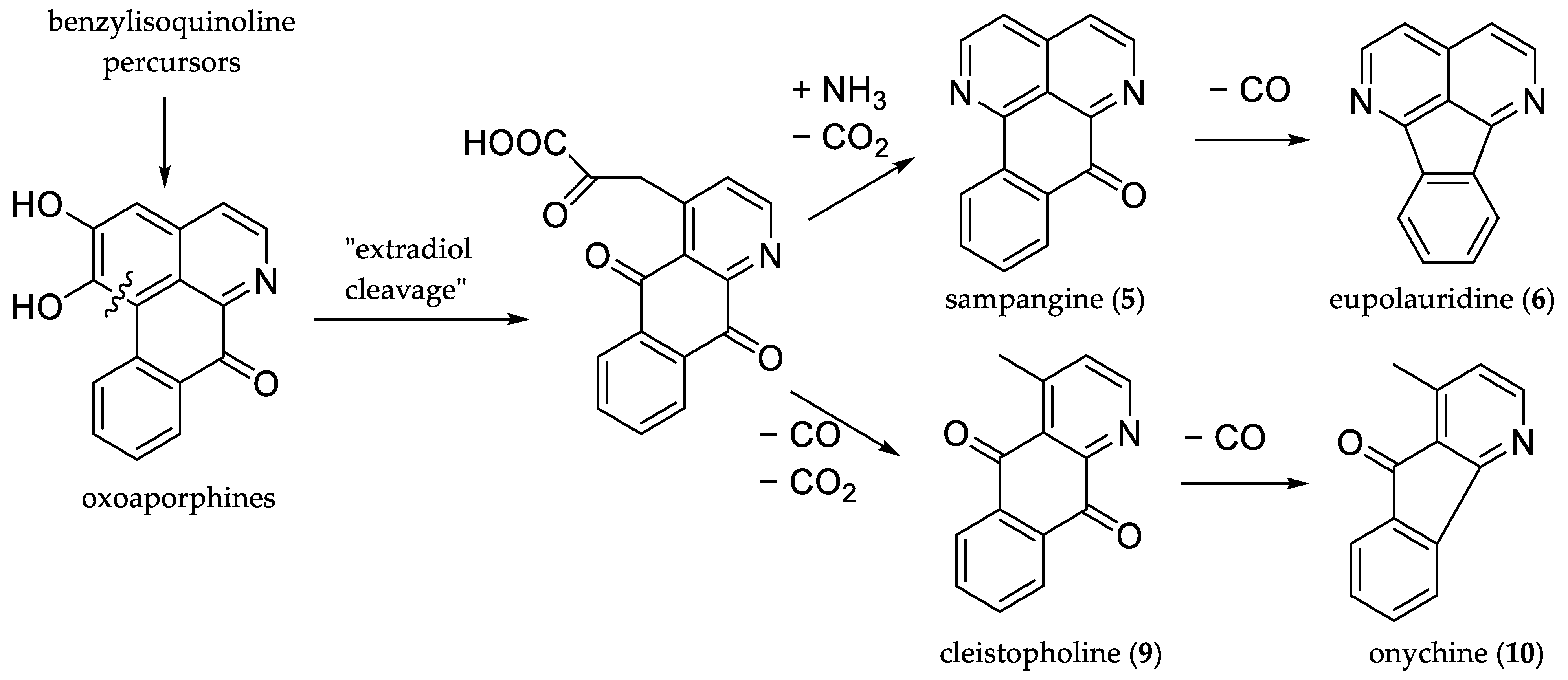 Molecules 27 08217 g001