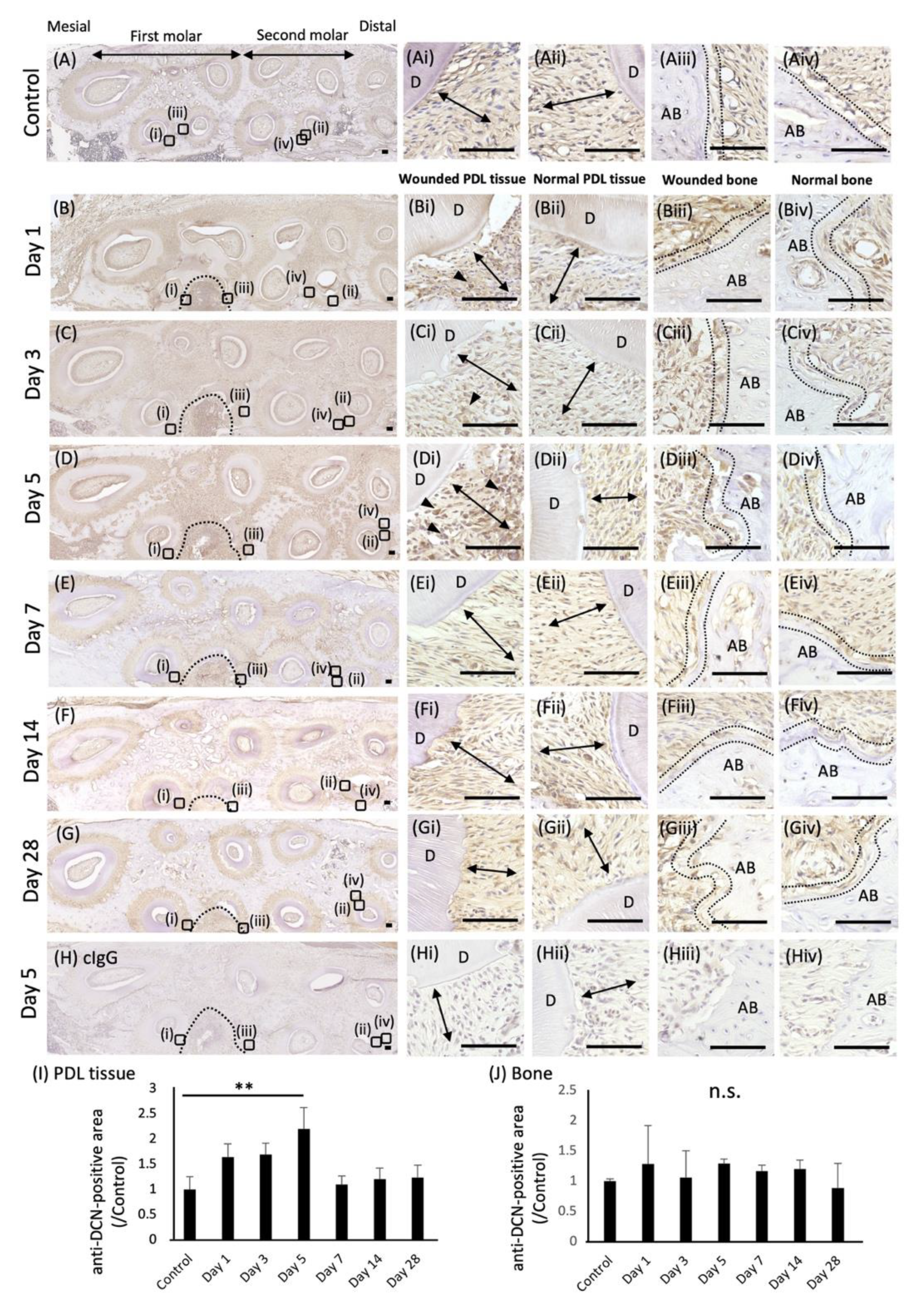 Molecules 27 08224 g001 Molecules 27 08224 g001