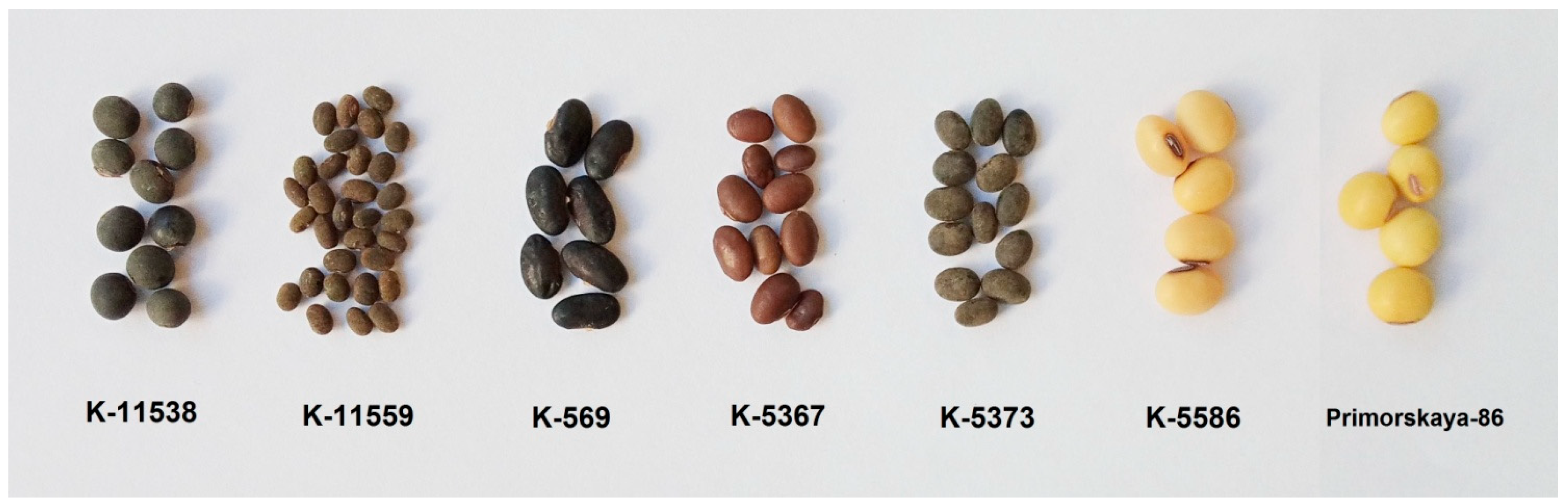 Molecules 27 08228 g001 Molecules 27 08228 g001