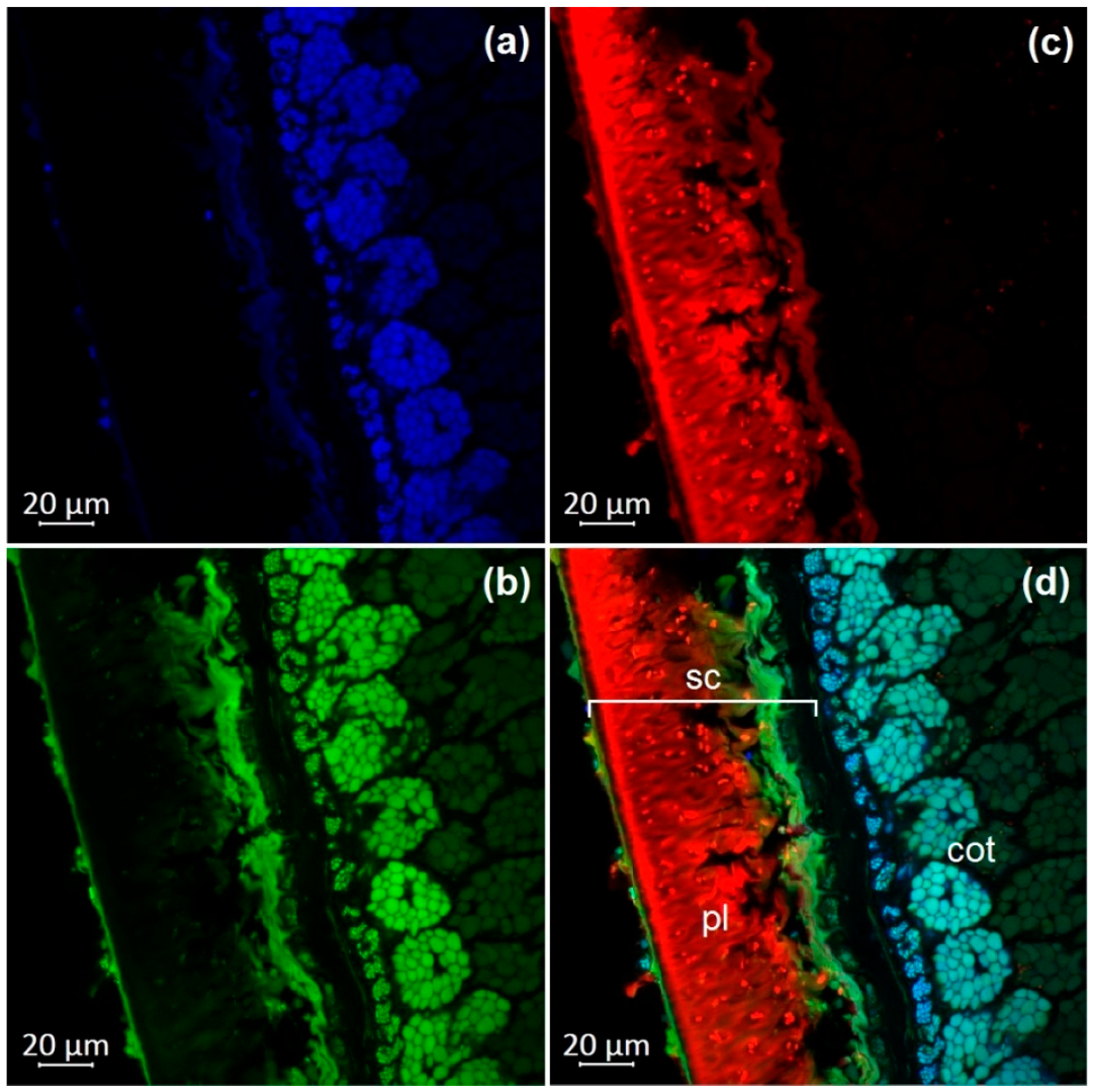 Molecules 27 08228 g003 Molecules 27 08228 g003