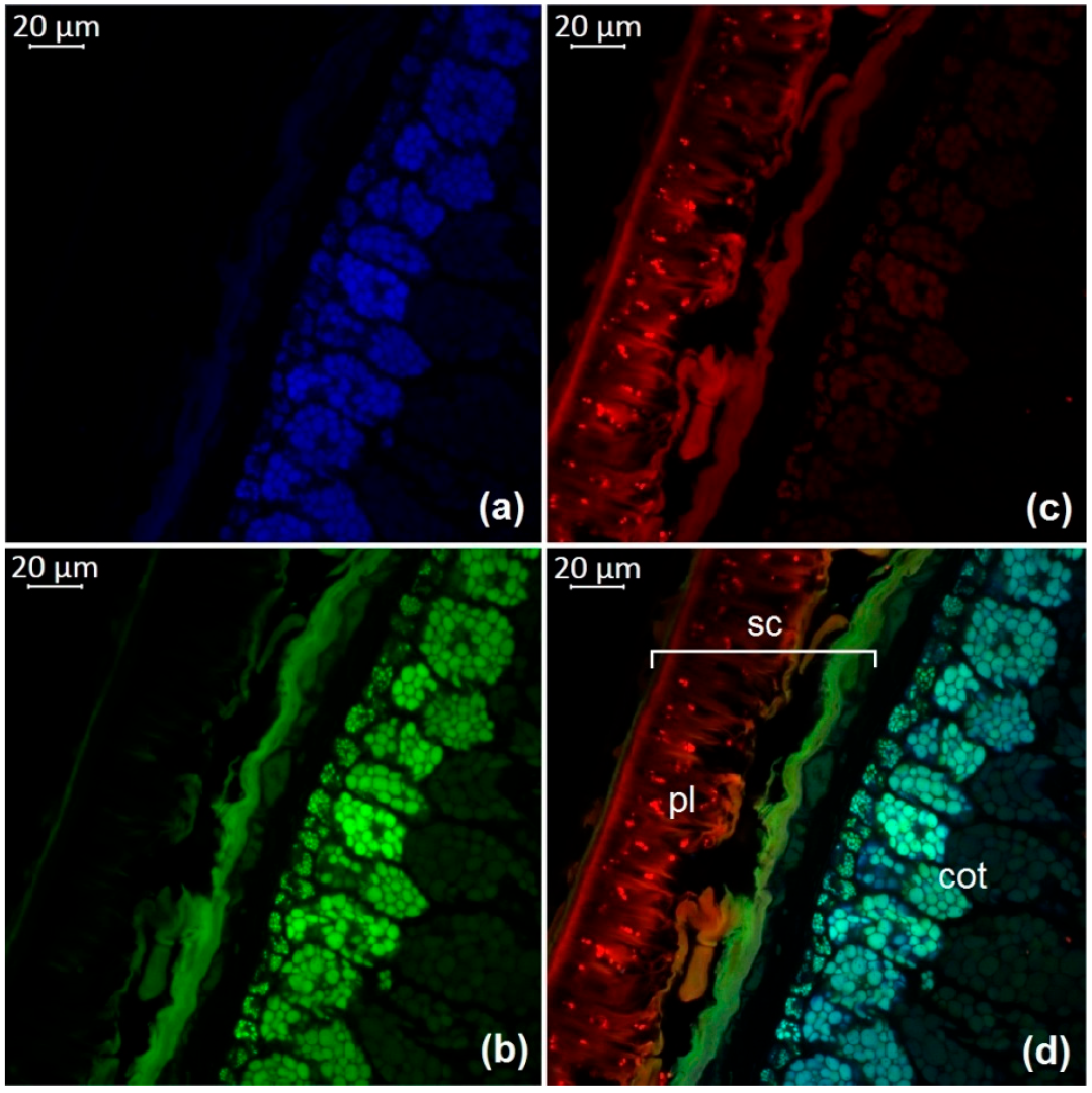 Molecules 27 08228 g006 Molecules 27 08228 g006