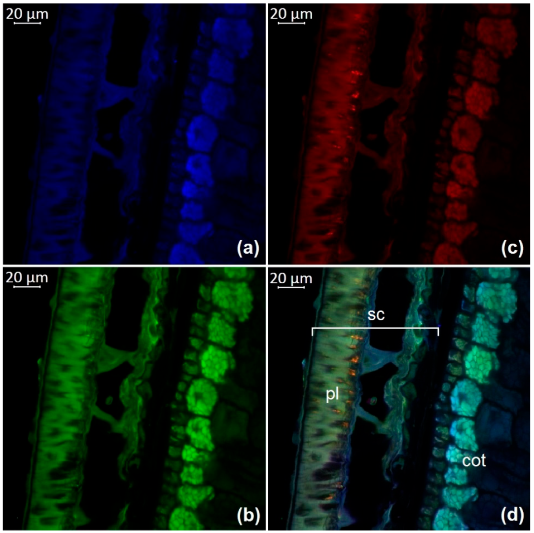 Molecules 27 08228 g007 Molecules 27 08228 g007