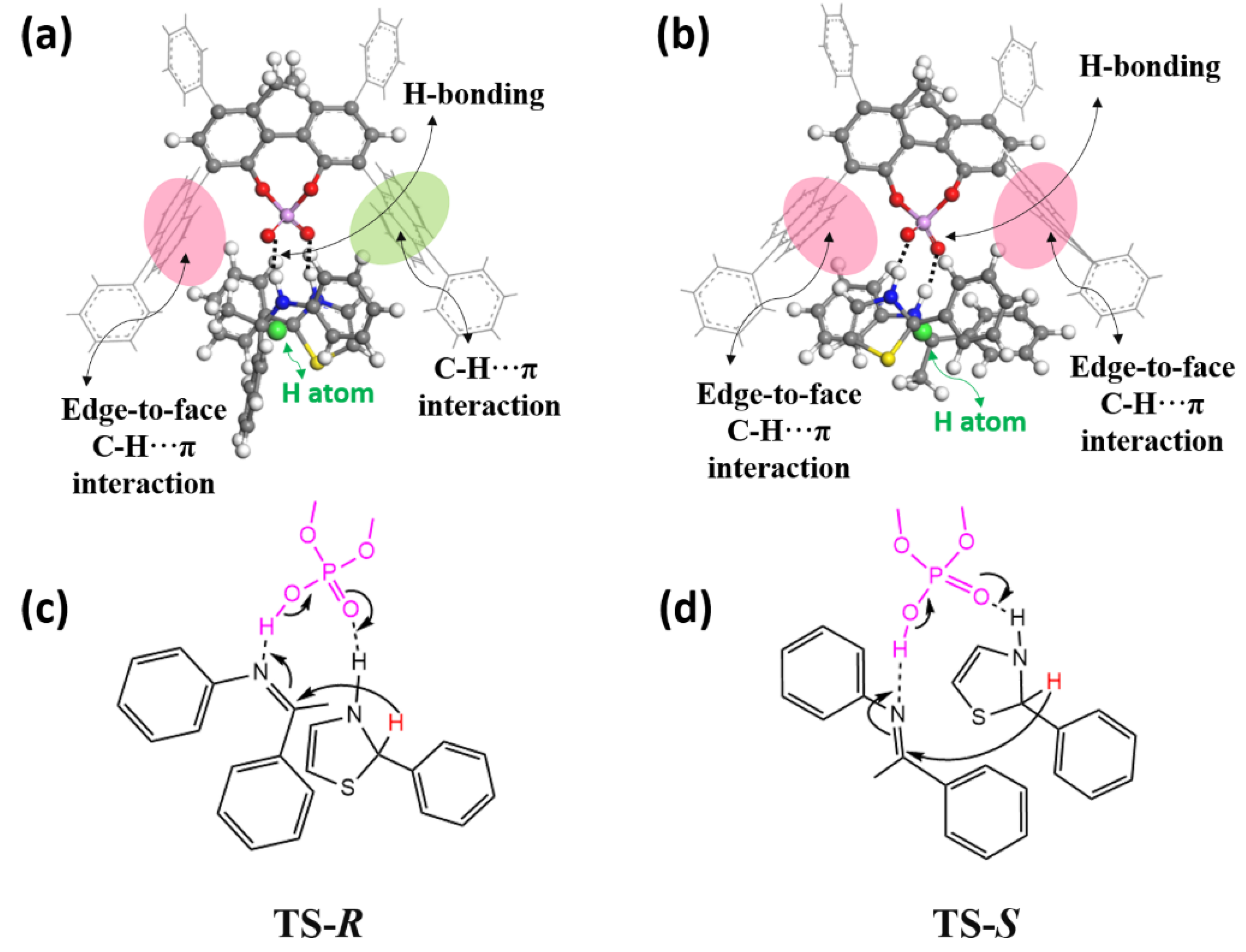 Molecules 27 08244 g001