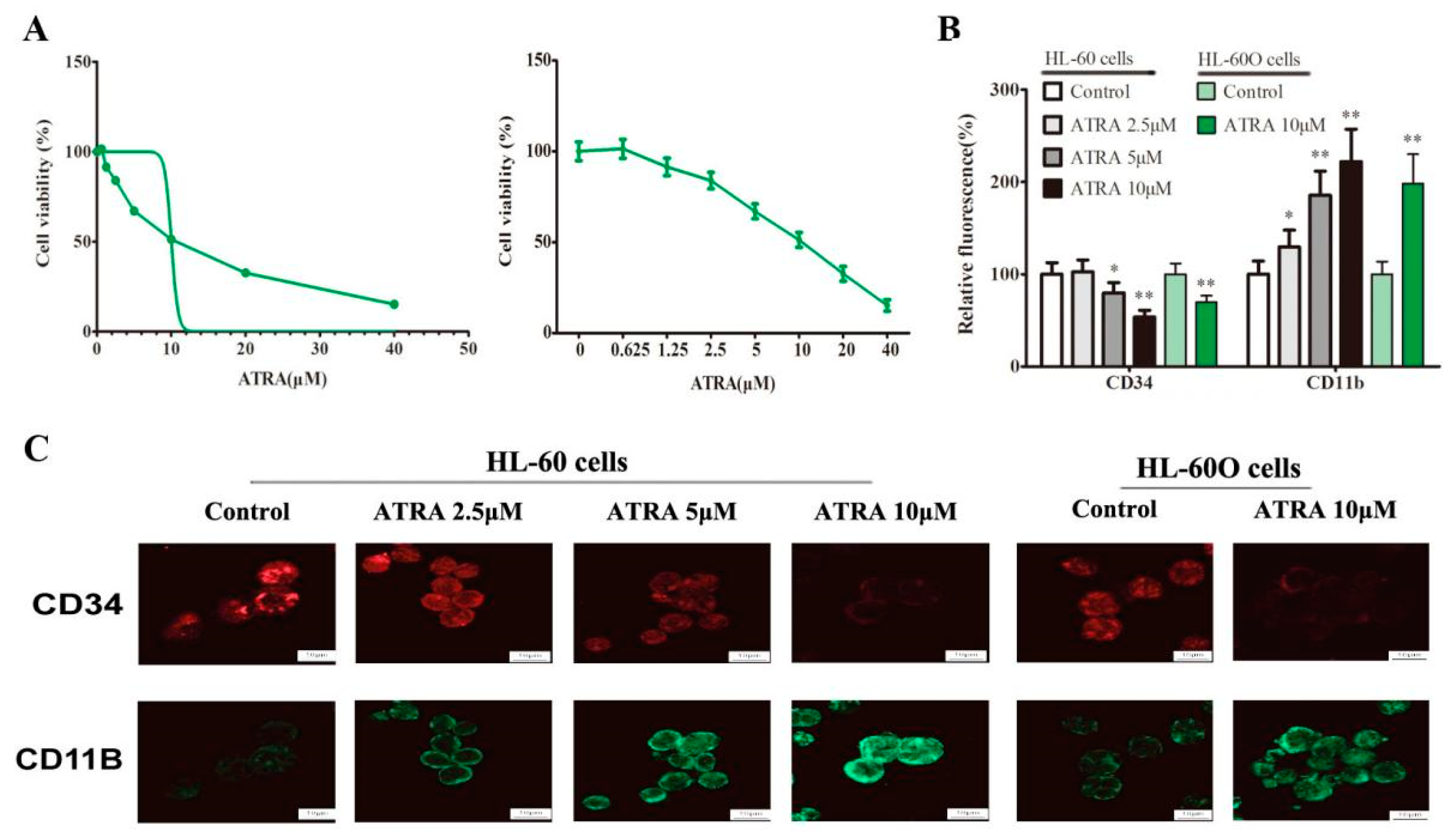 Molecules 27 08264 g005 Molecules 27 08264 g005