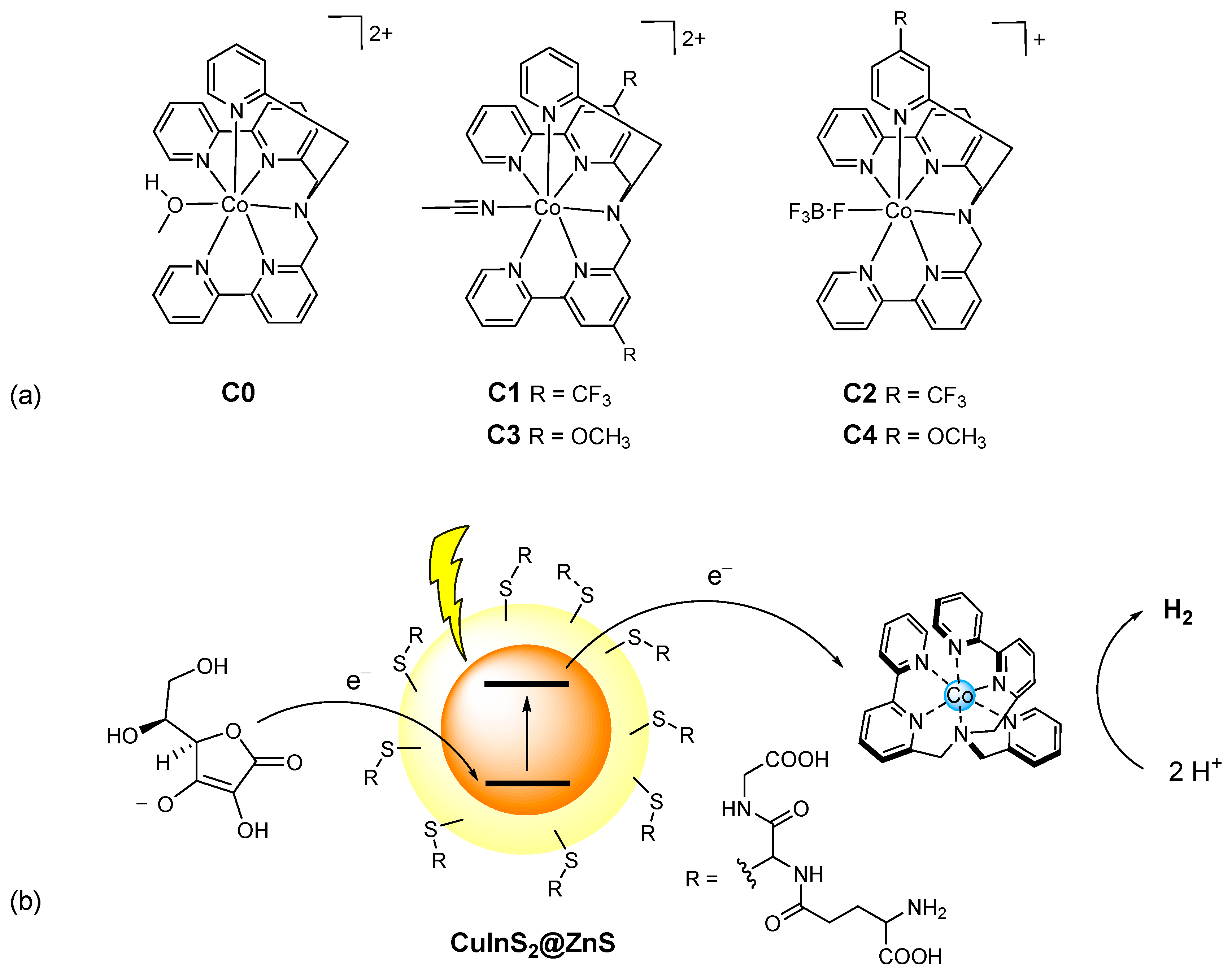 Molecules 27 08277 g001