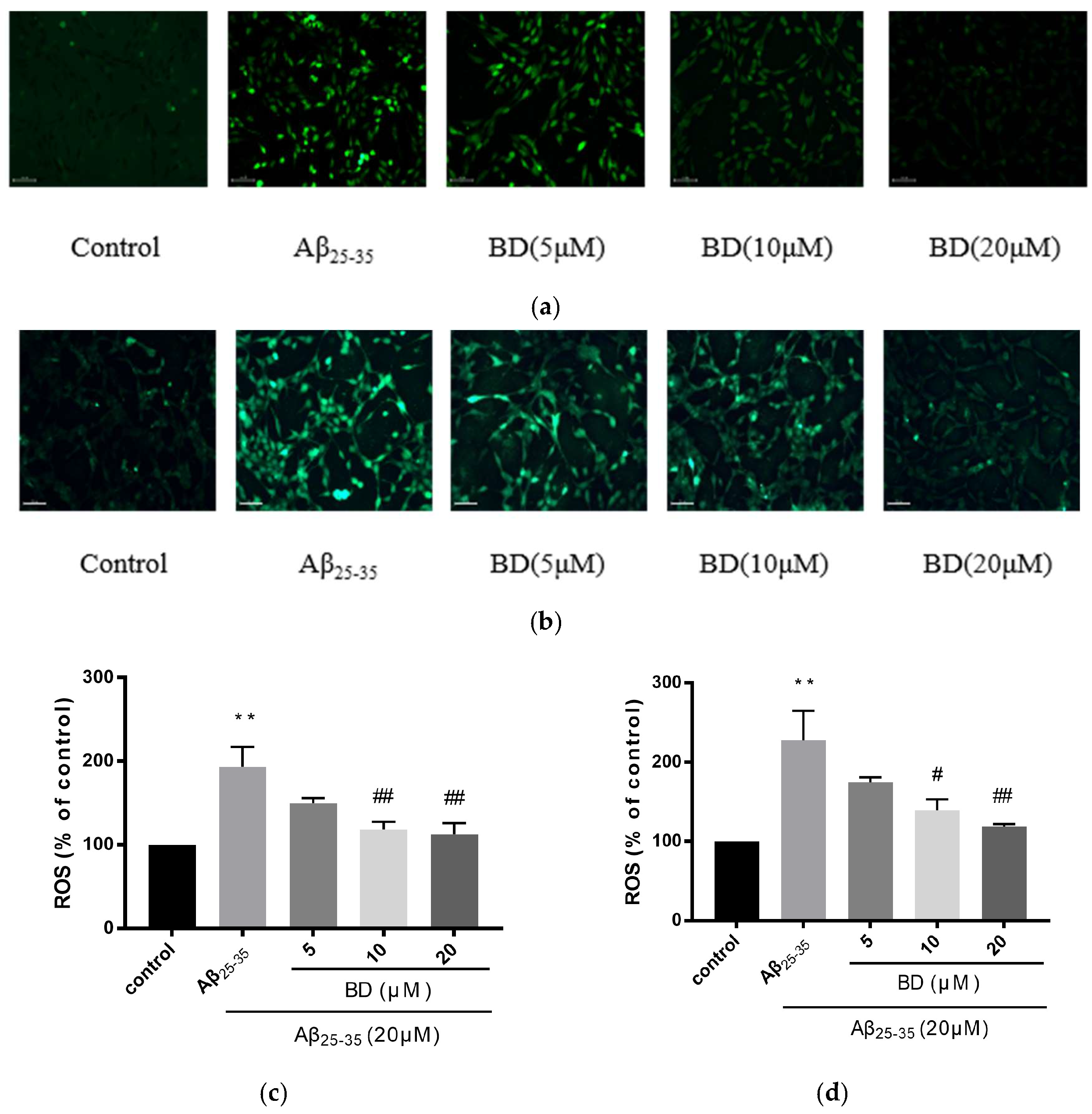 Molecules 27 08294 g003