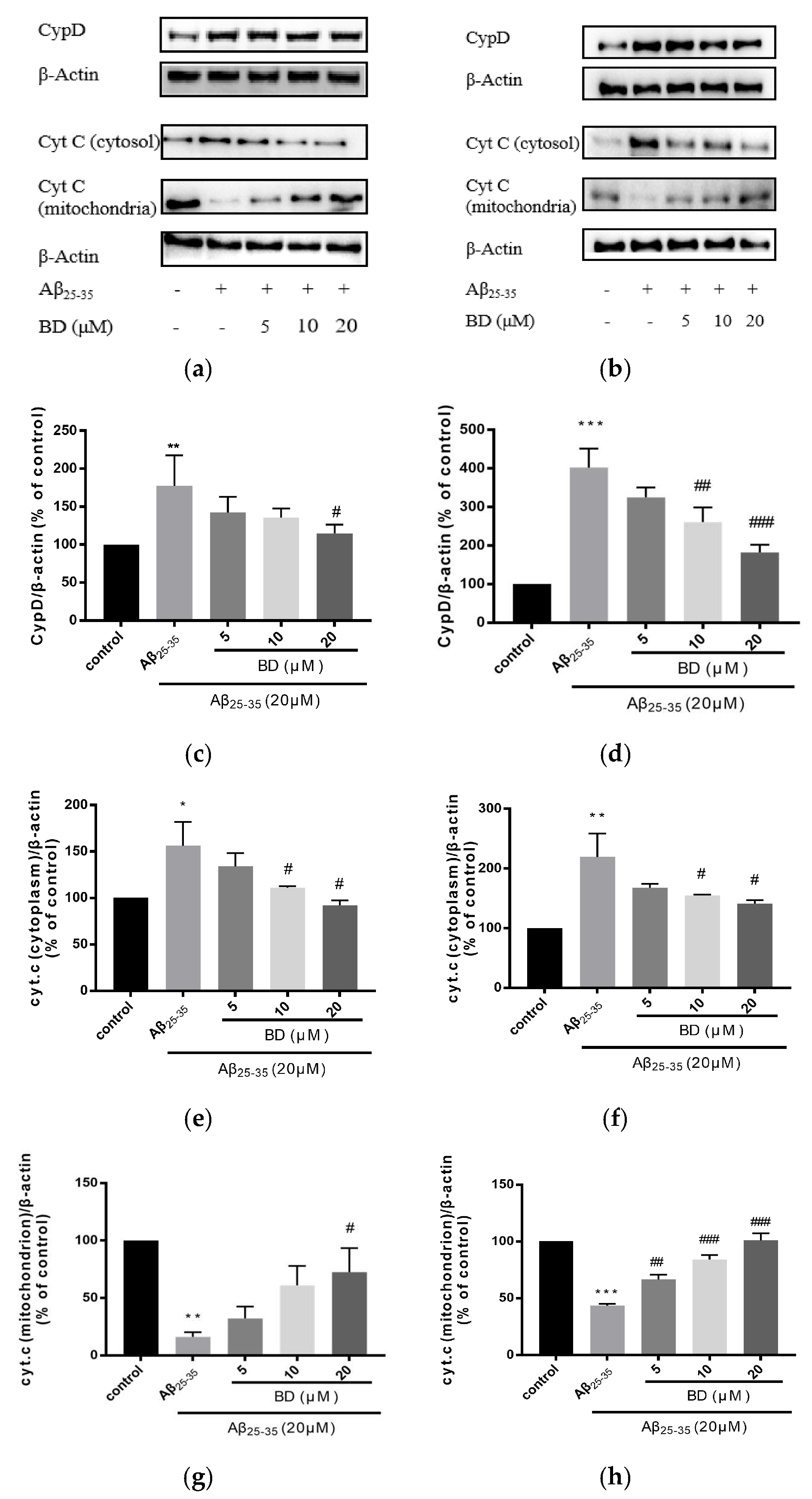 Molecules 27 08294 g004