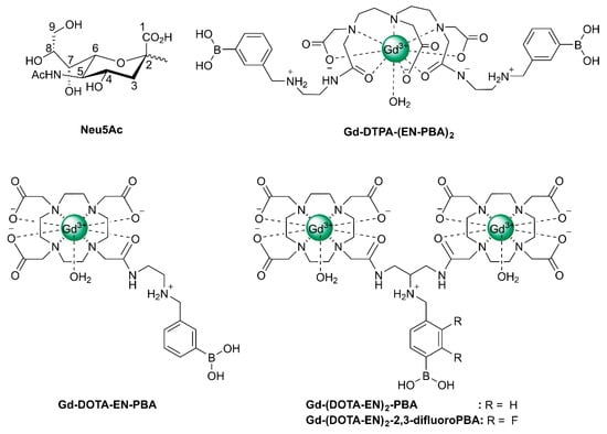 Molecules | Free Full-Text | MRI Contrast Agents in Glycobiology