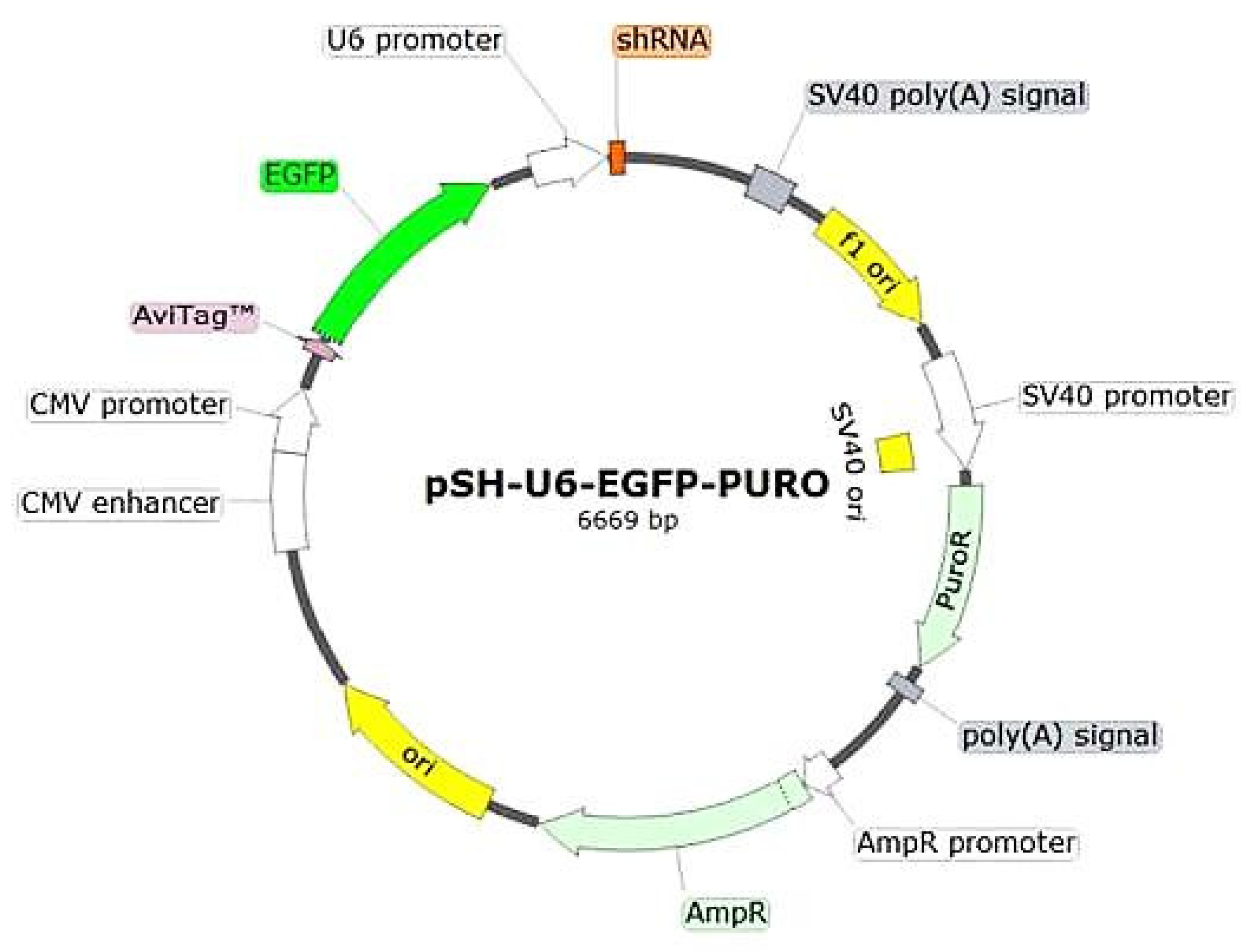 Molecules 27 08301 g002