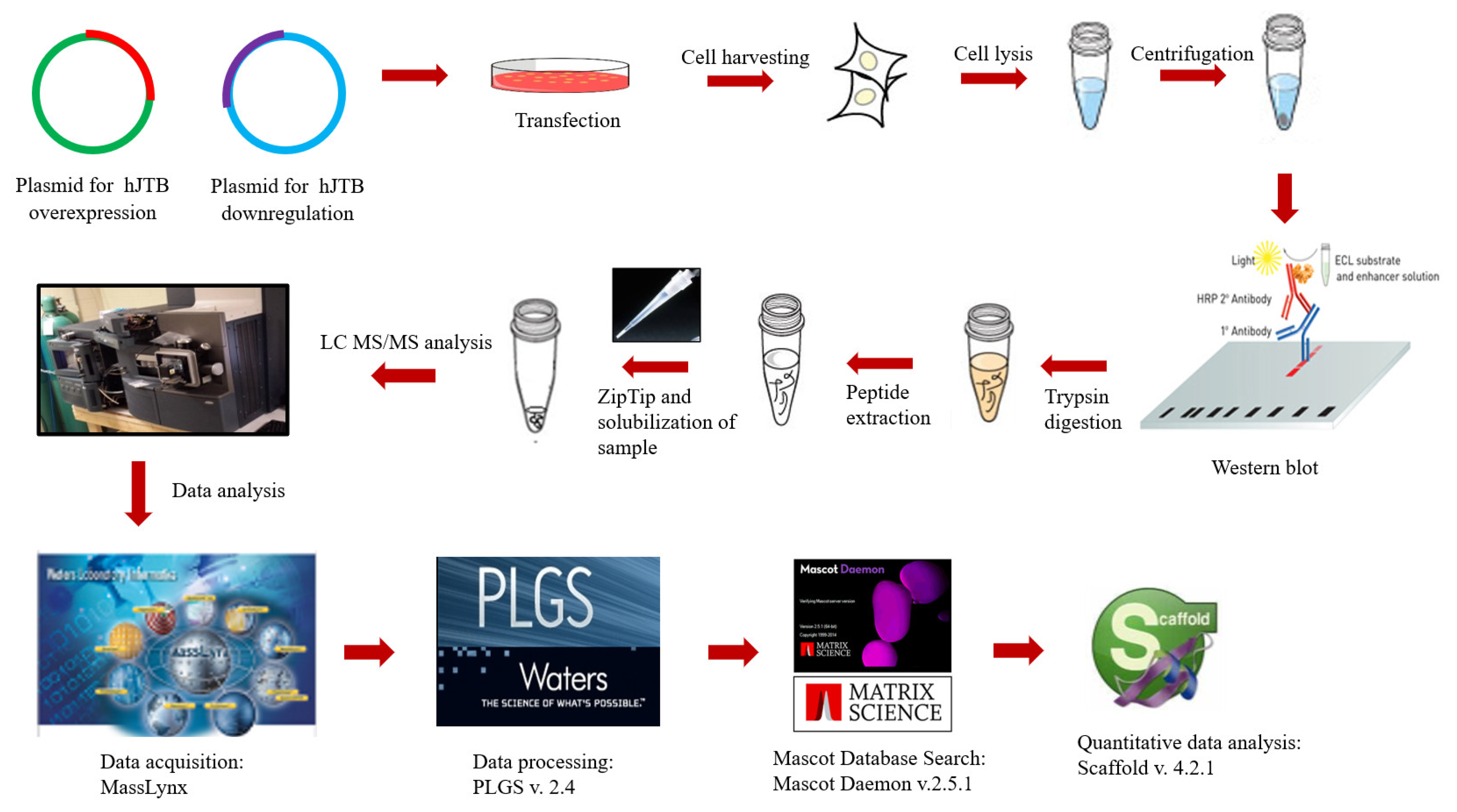 Molecules 27 08301 g003