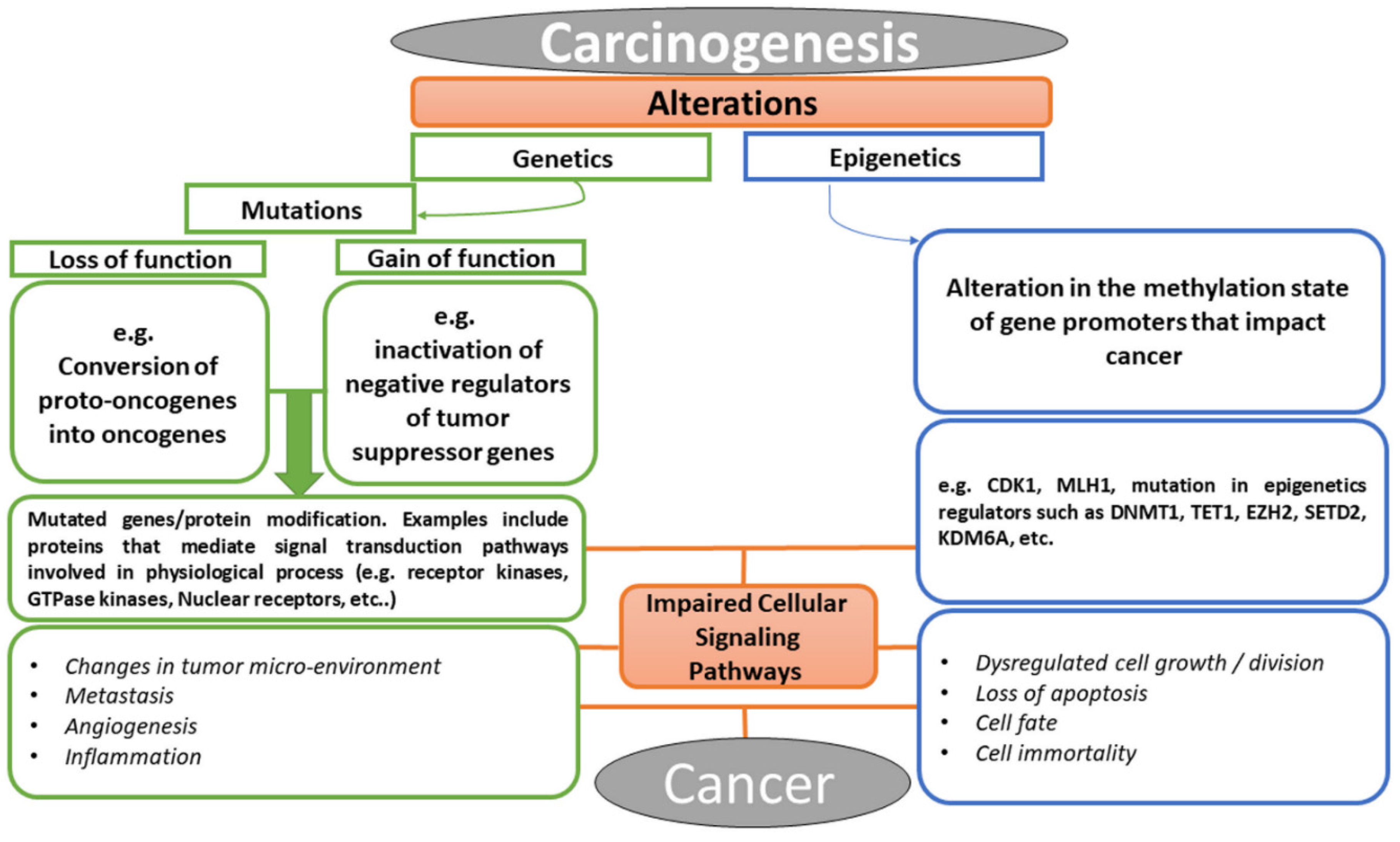 Molecules 27 08307 g002 Molecules 27 08307 g002