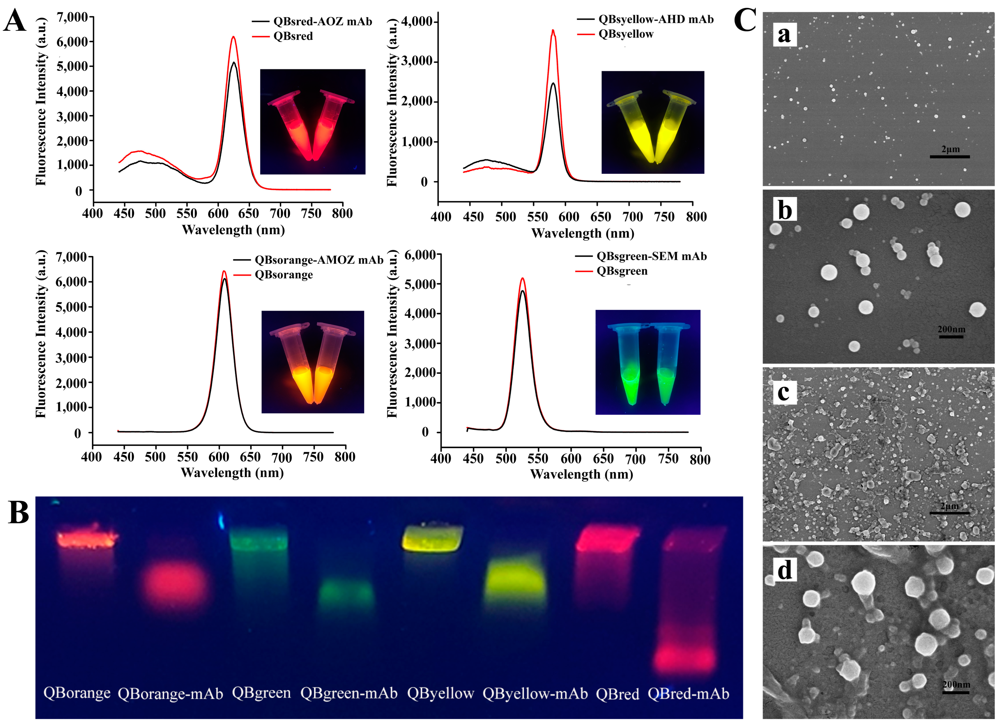 Molecules 27 08324 g002