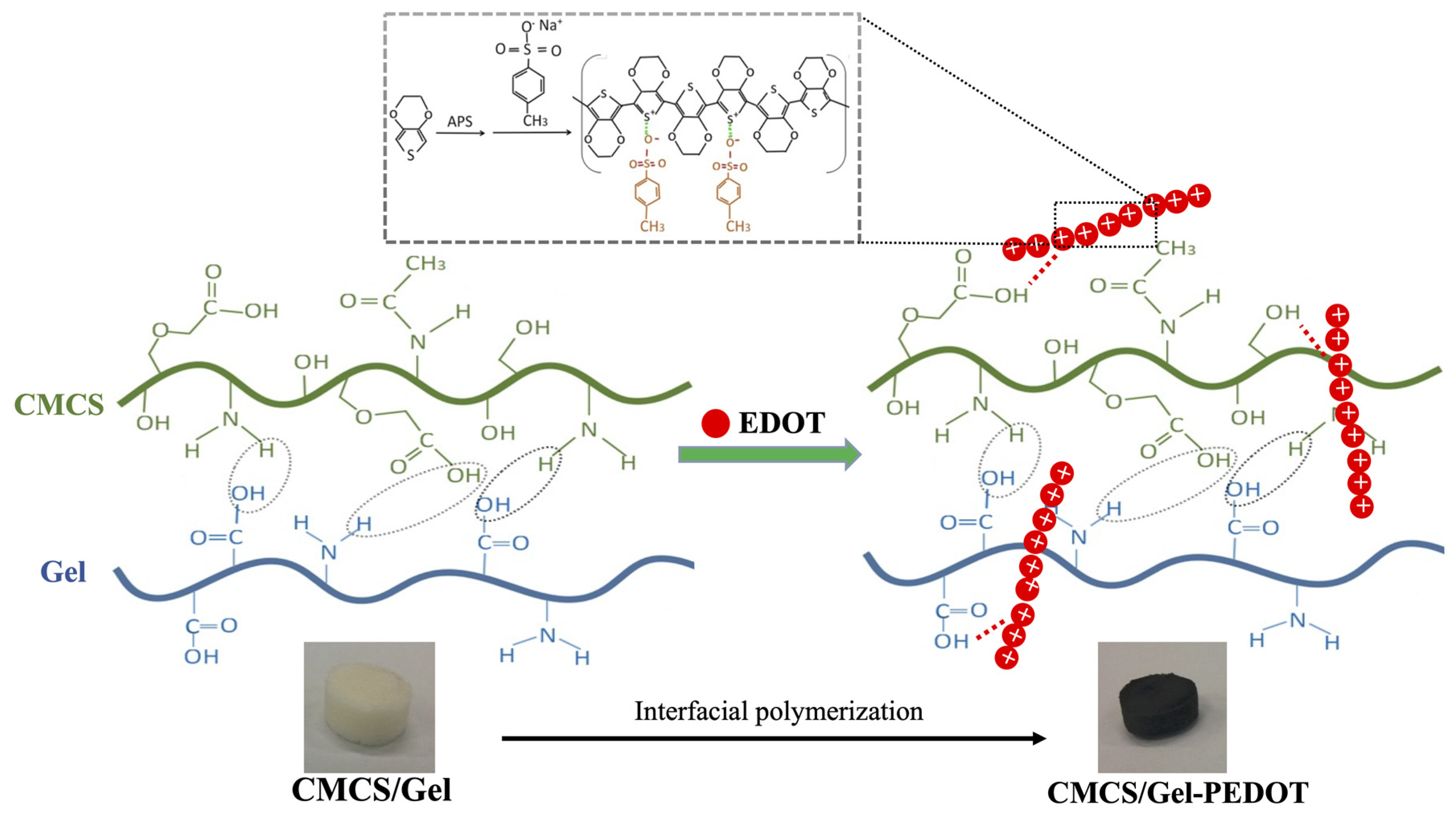 Molecules 27 08326 g001 Molecules 27 08326 g001