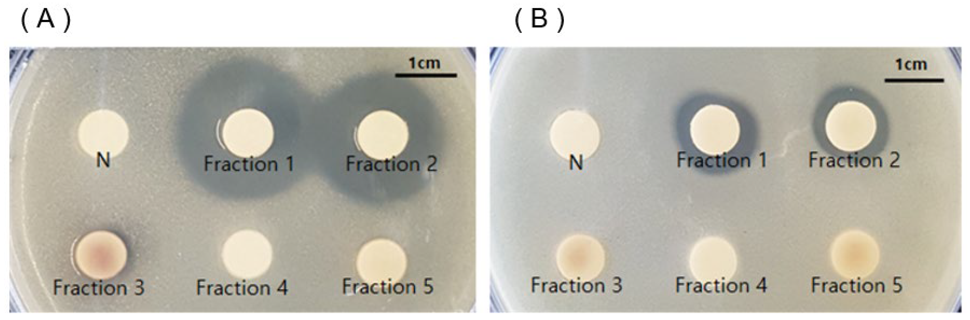 Molecules 27 08331 g003 Molecules 27 08331 g003