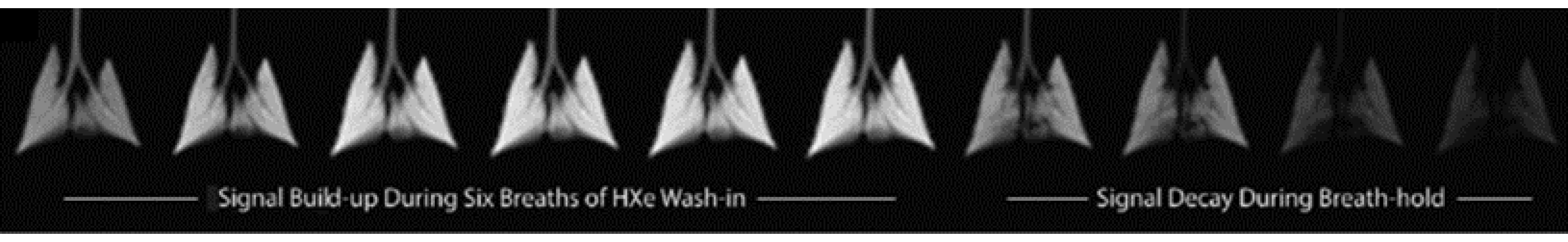 Molecules 27 08338 g005 Molecules 27 08338 g005