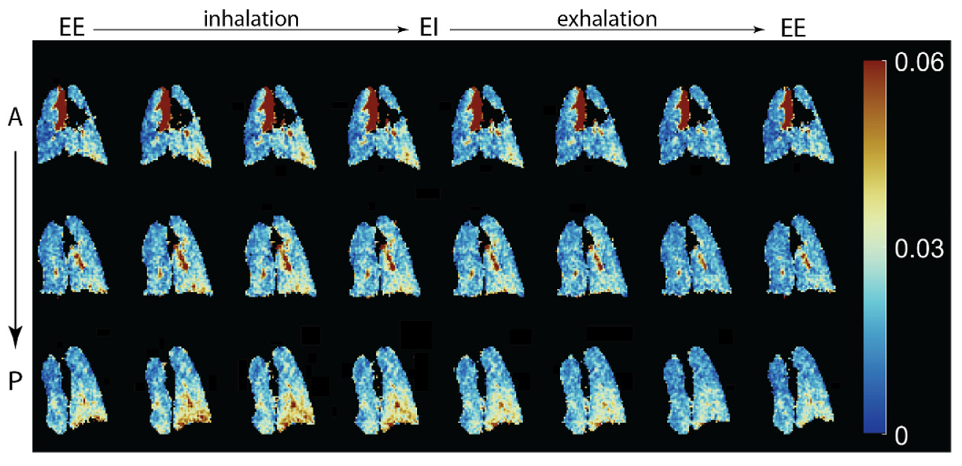 Molecules 27 08338 g009 Molecules 27 08338 g009