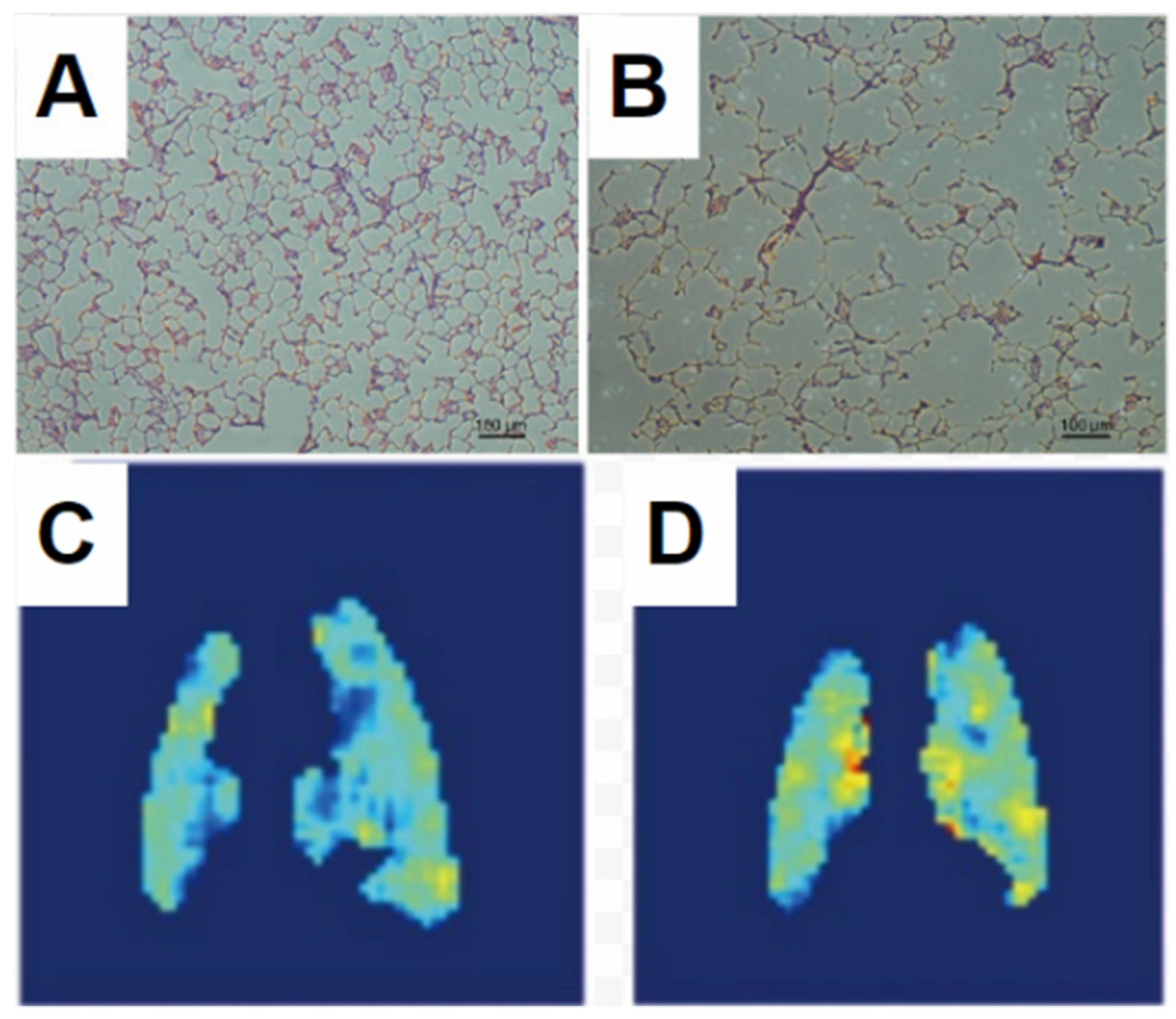 Molecules 27 08338 g010 Molecules 27 08338 g010