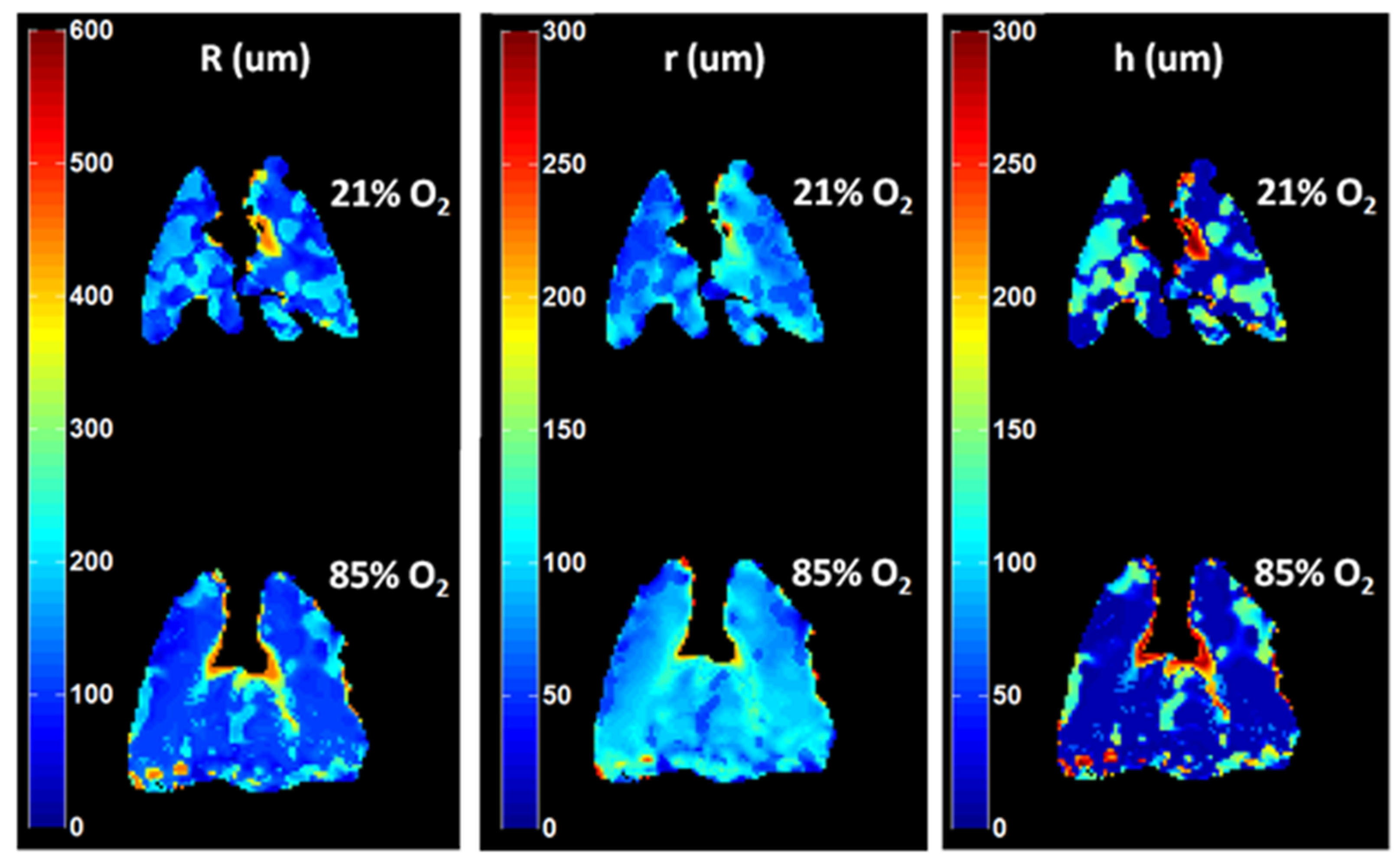 Molecules 27 08338 g013 Molecules 27 08338 g013