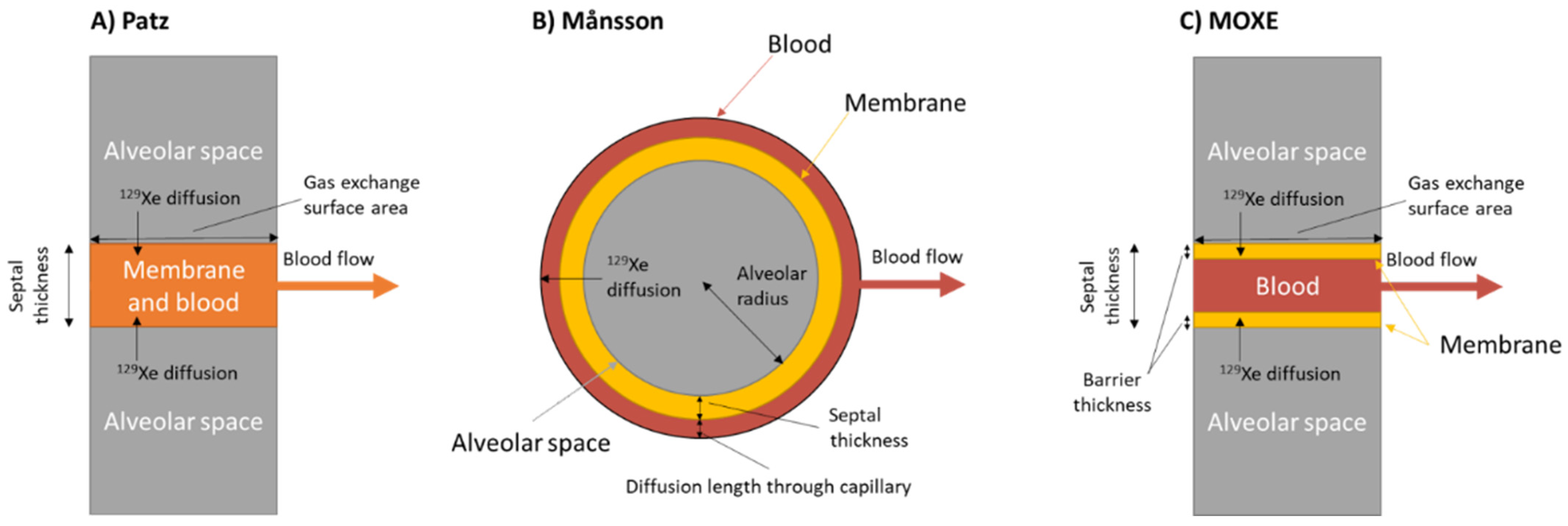 Molecules 27 08338 g021 Molecules 27 08338 g021