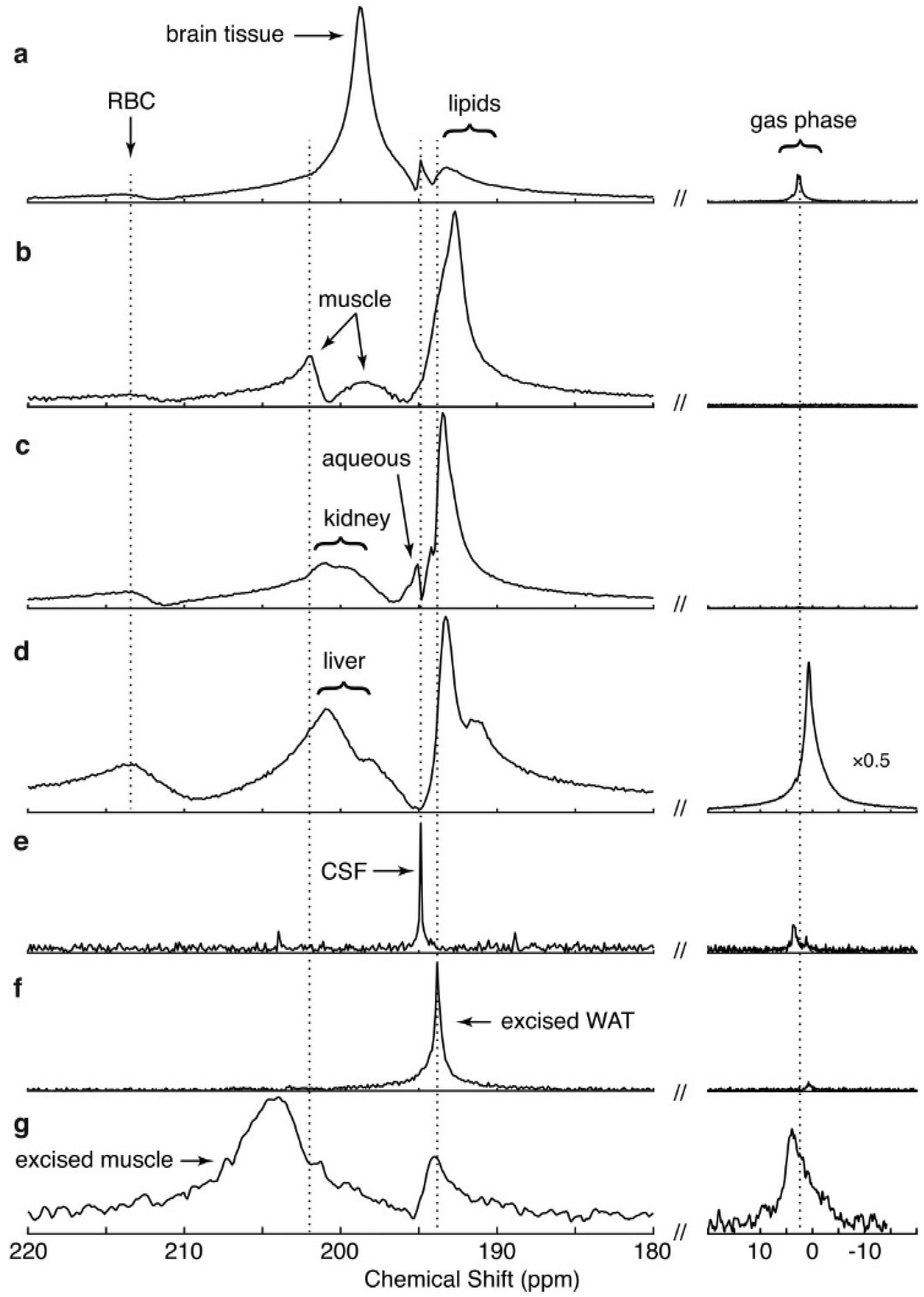 Molecules 27 08338 g026 Molecules 27 08338 g026