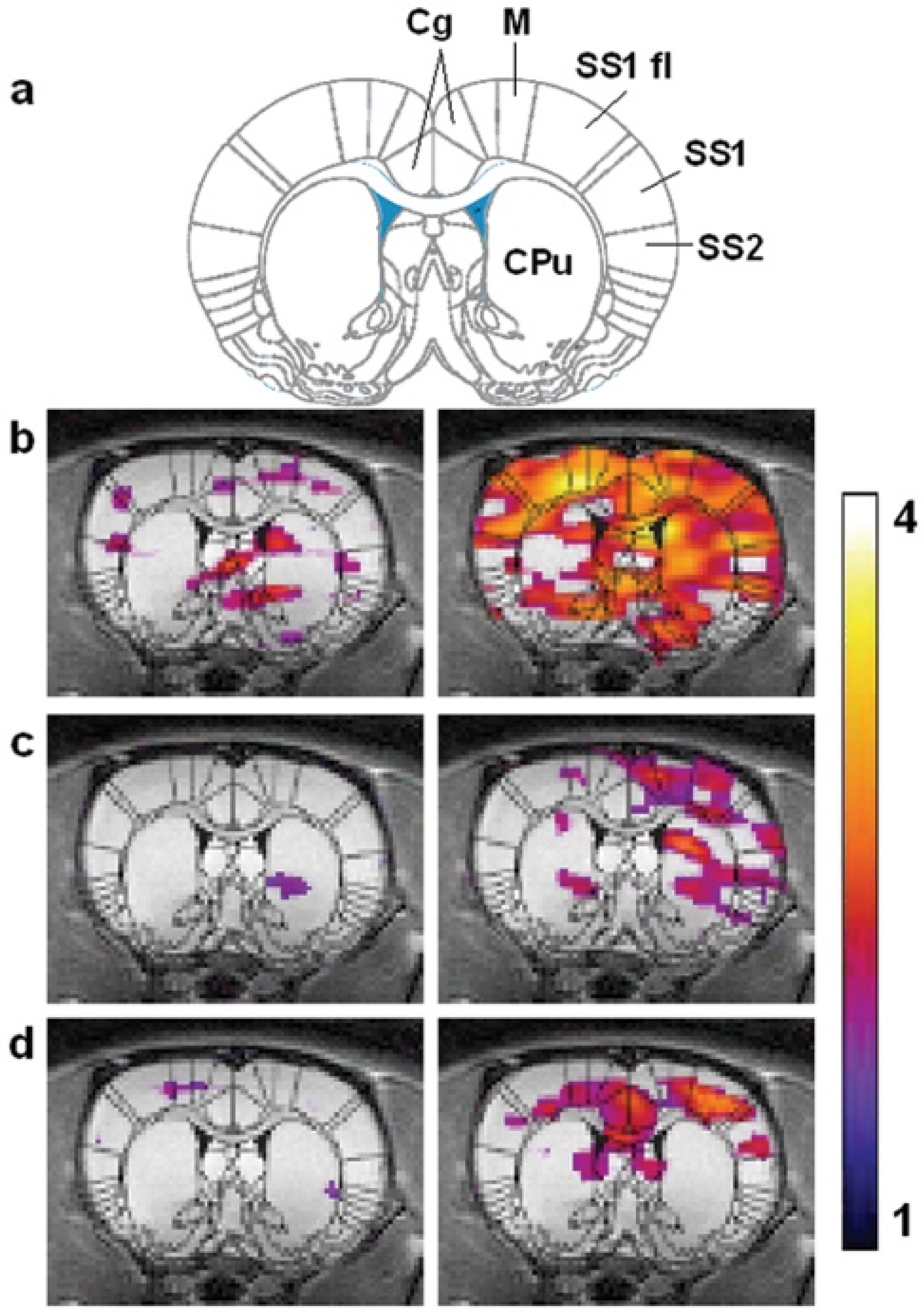 Molecules 27 08338 g030 Molecules 27 08338 g030