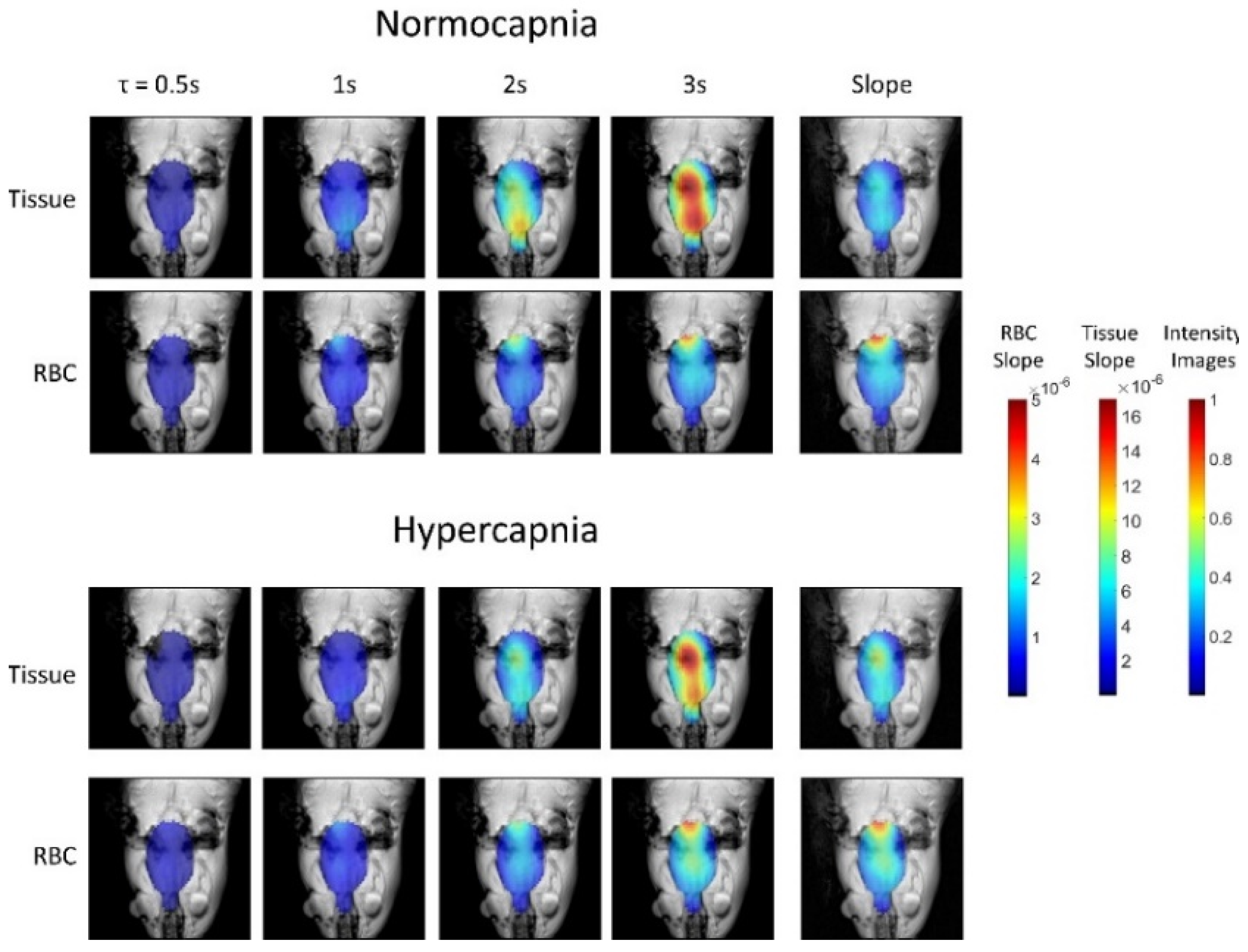Molecules 27 08338 g031 Molecules 27 08338 g031