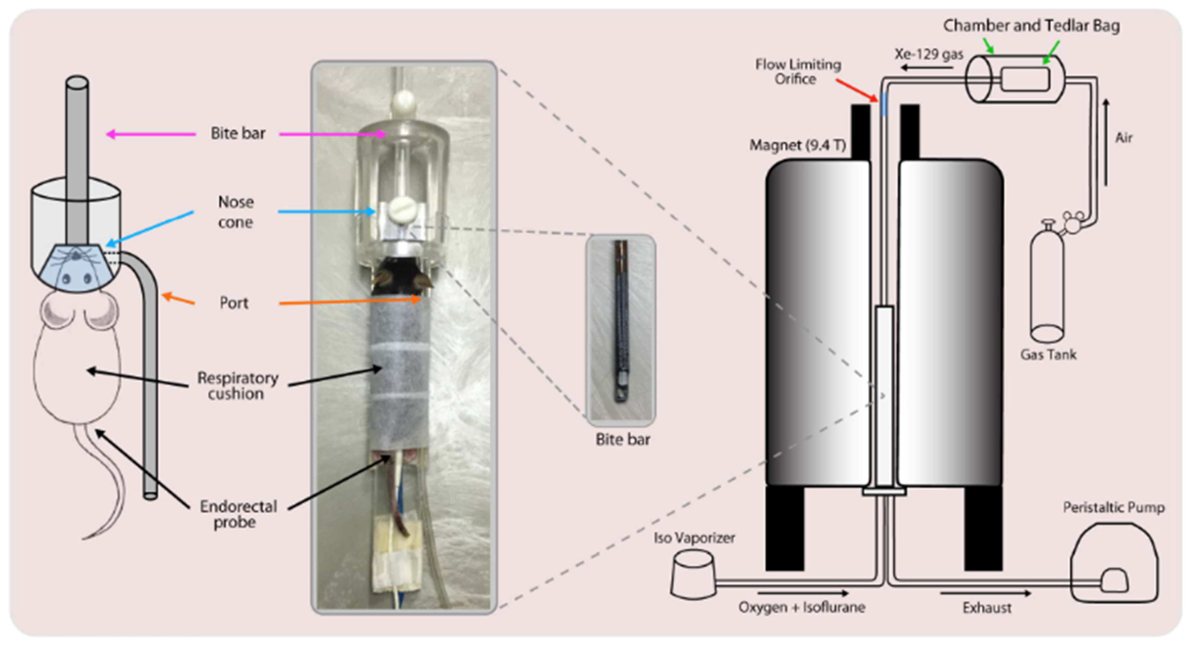 Molecules 27 08338 g033 Molecules 27 08338 g033