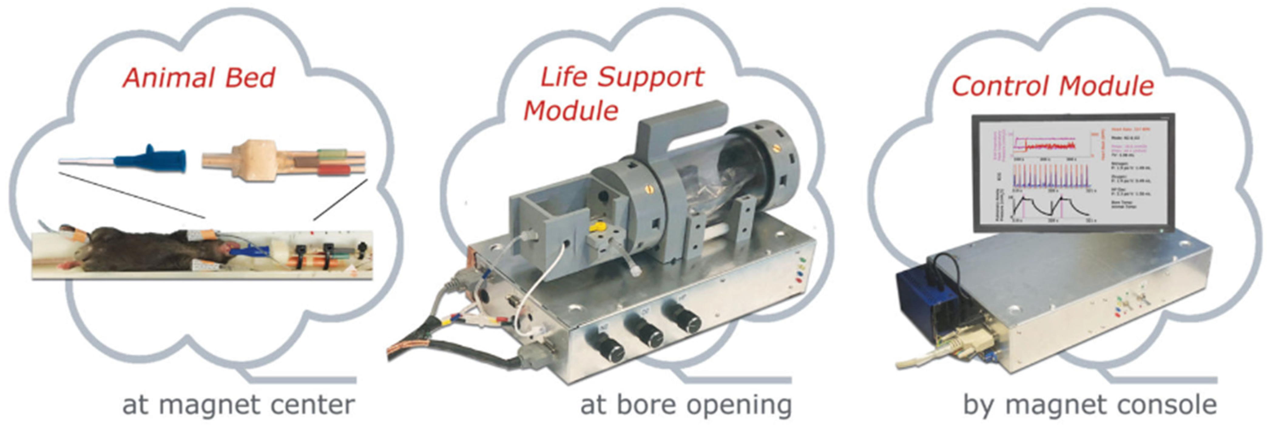 Molecules 27 08338 g034 Molecules 27 08338 g034