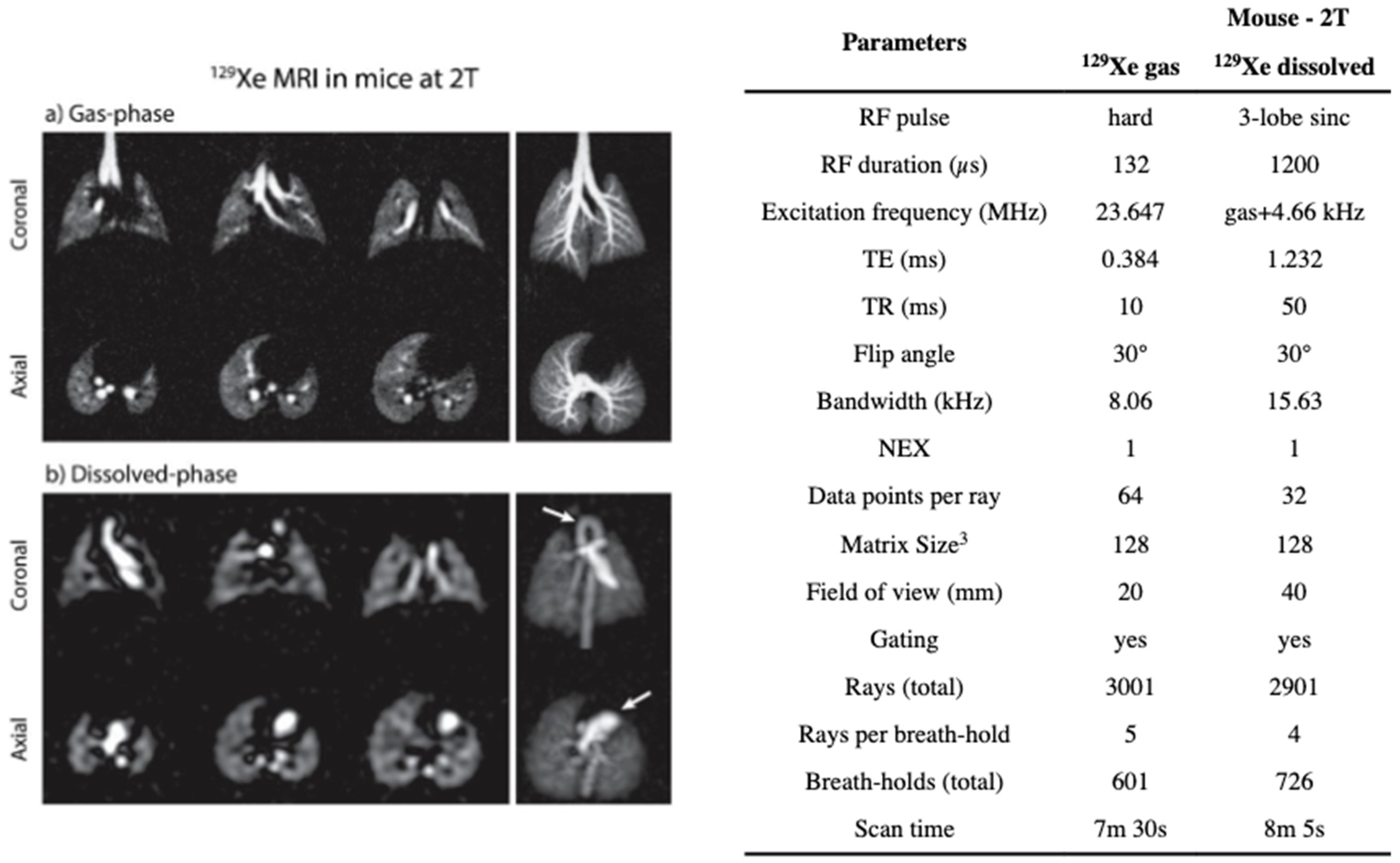 Molecules 27 08338 g037 Molecules 27 08338 g037
