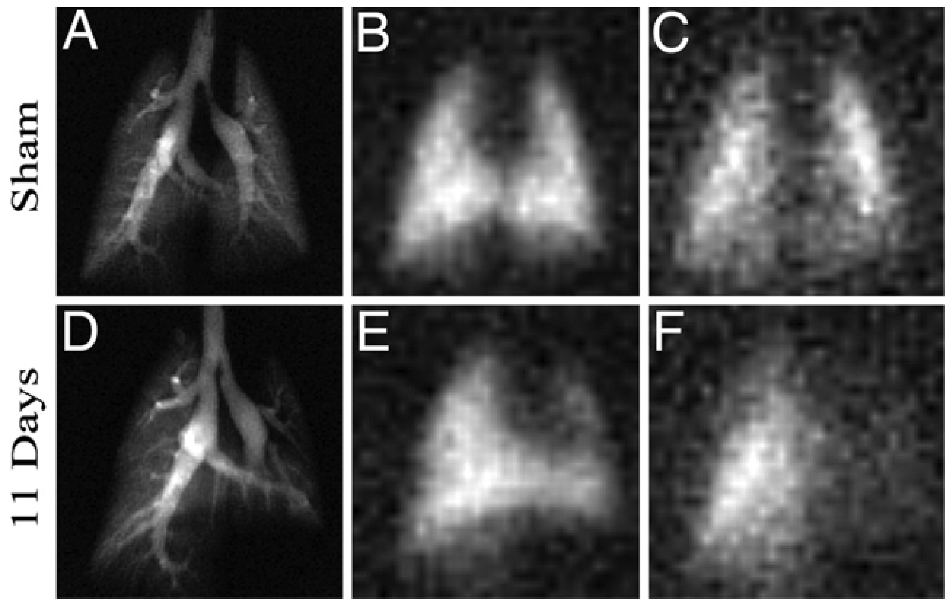 Molecules 27 08338 g038 Molecules 27 08338 g038