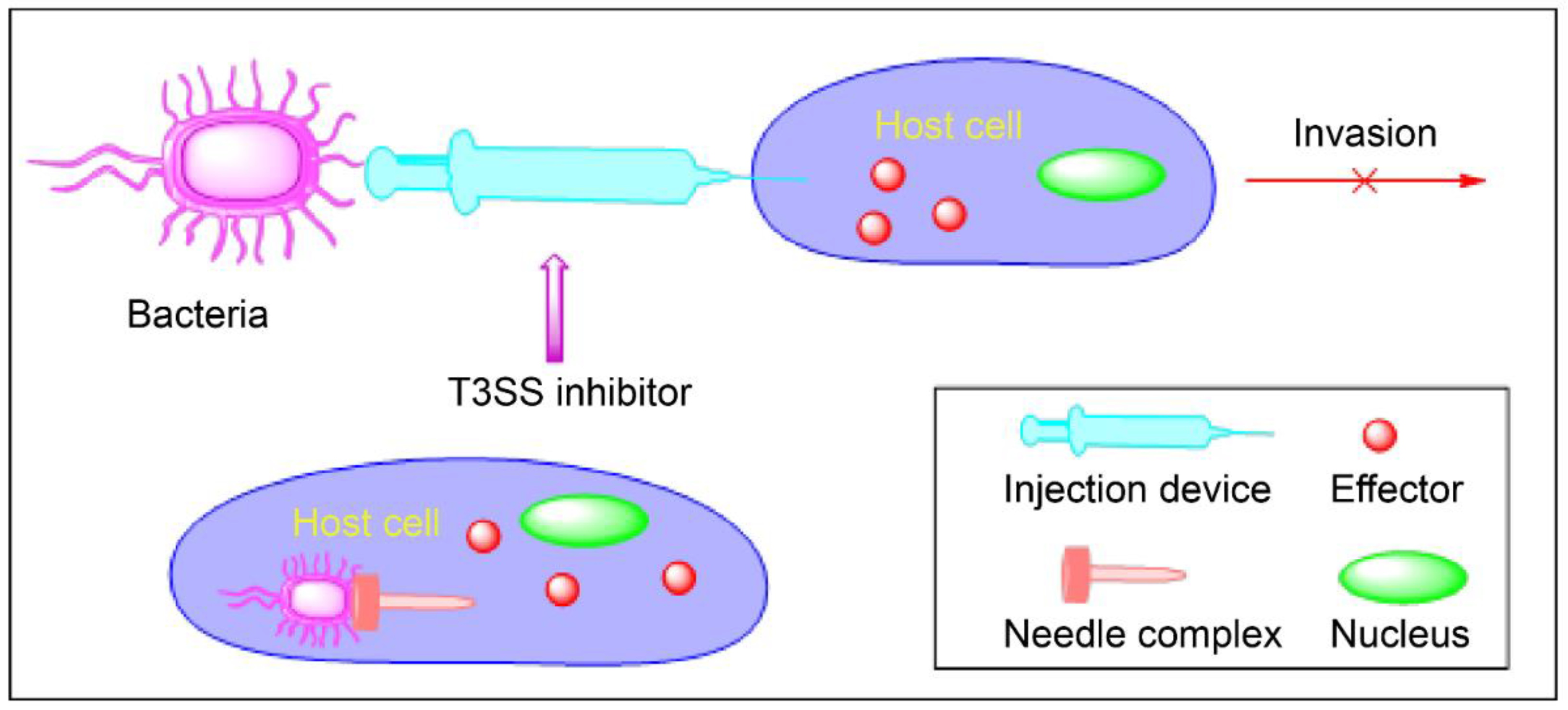 Molecules 27 08348 g002 Molecules 27 08348 g002