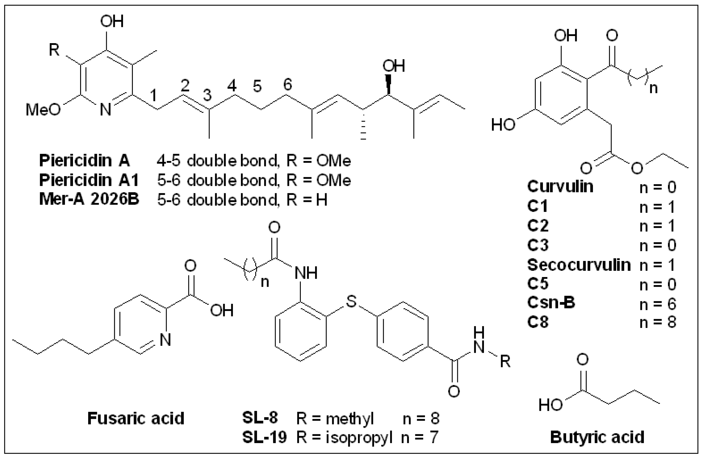 Molecules 27 08348 g011 Molecules 27 08348 g011