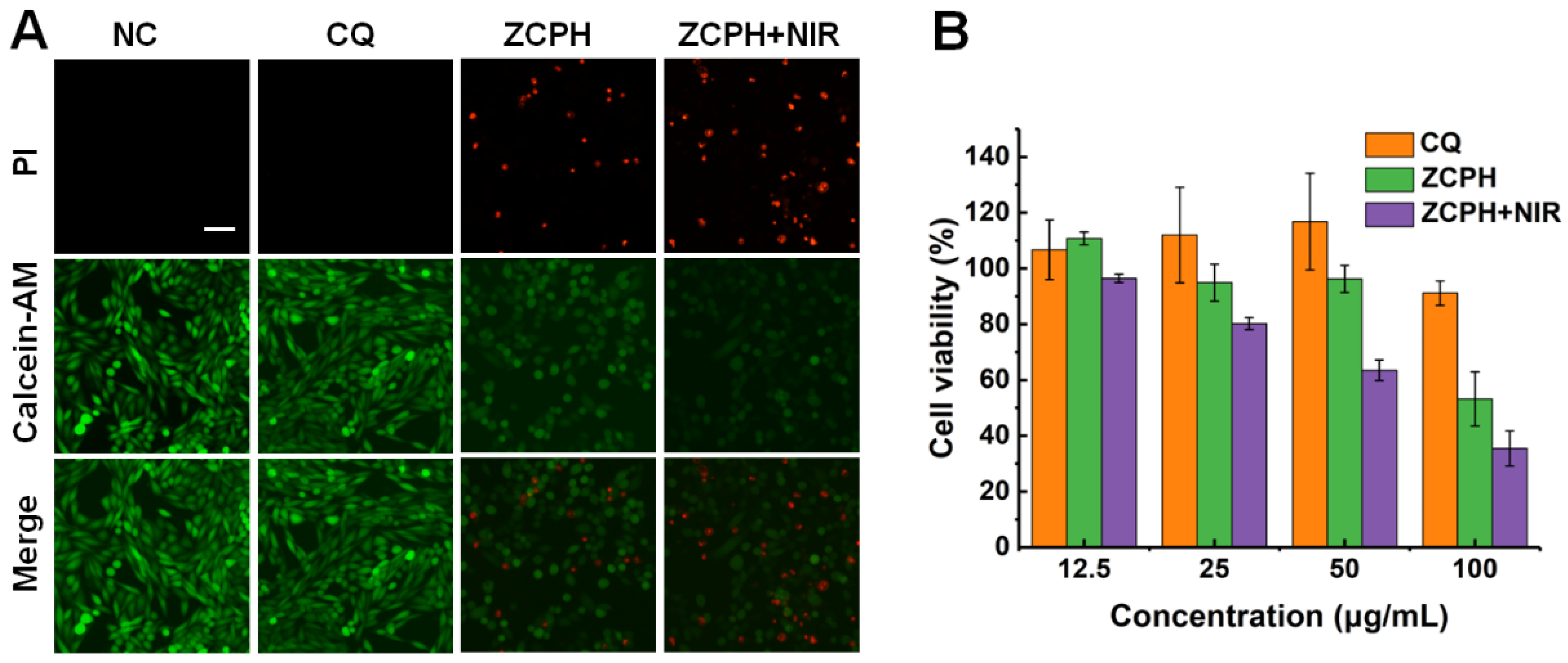 Molecules 27 08350 g004 Molecules 27 08350 g004