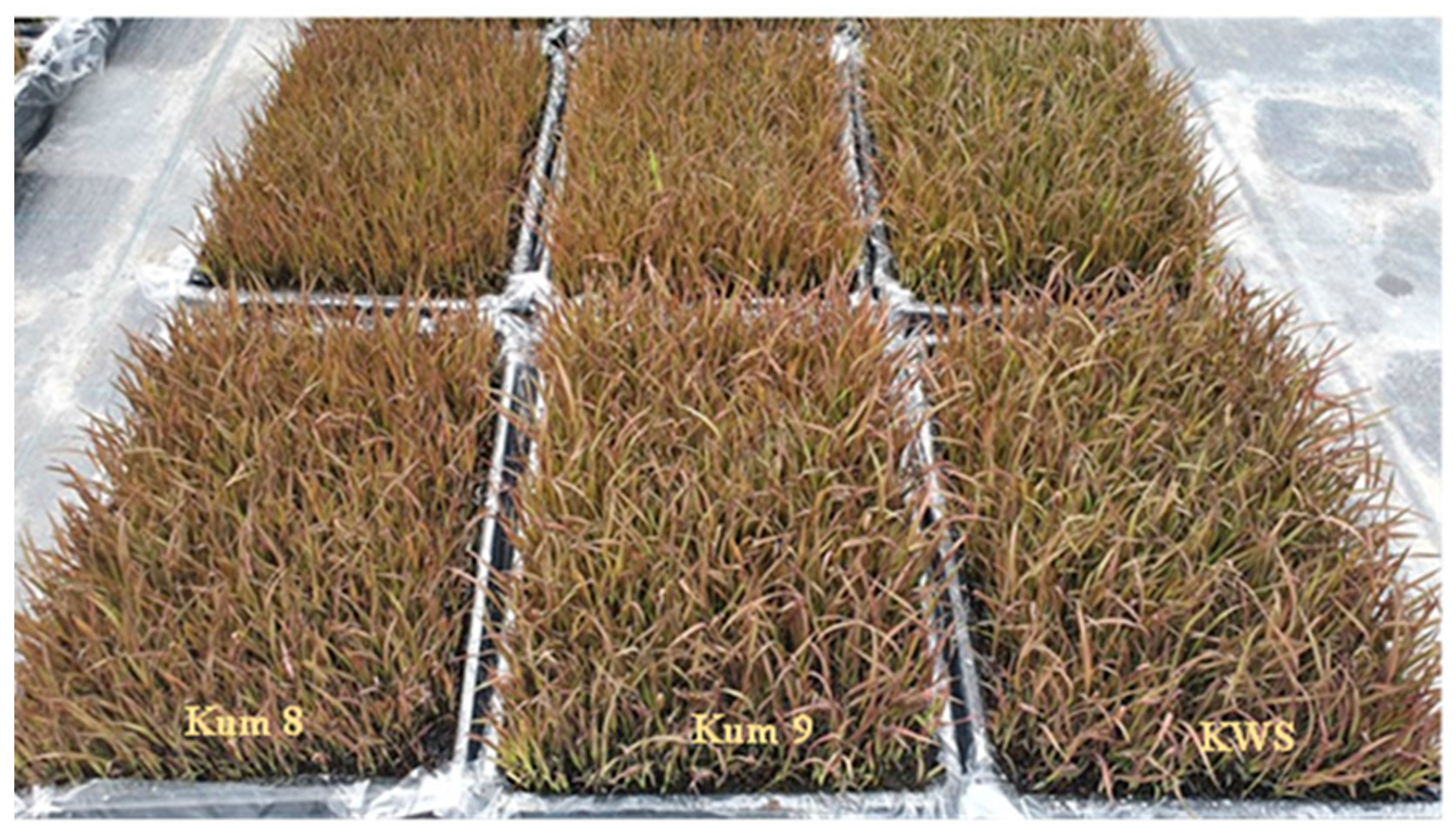 Molecules 27 08355 g005