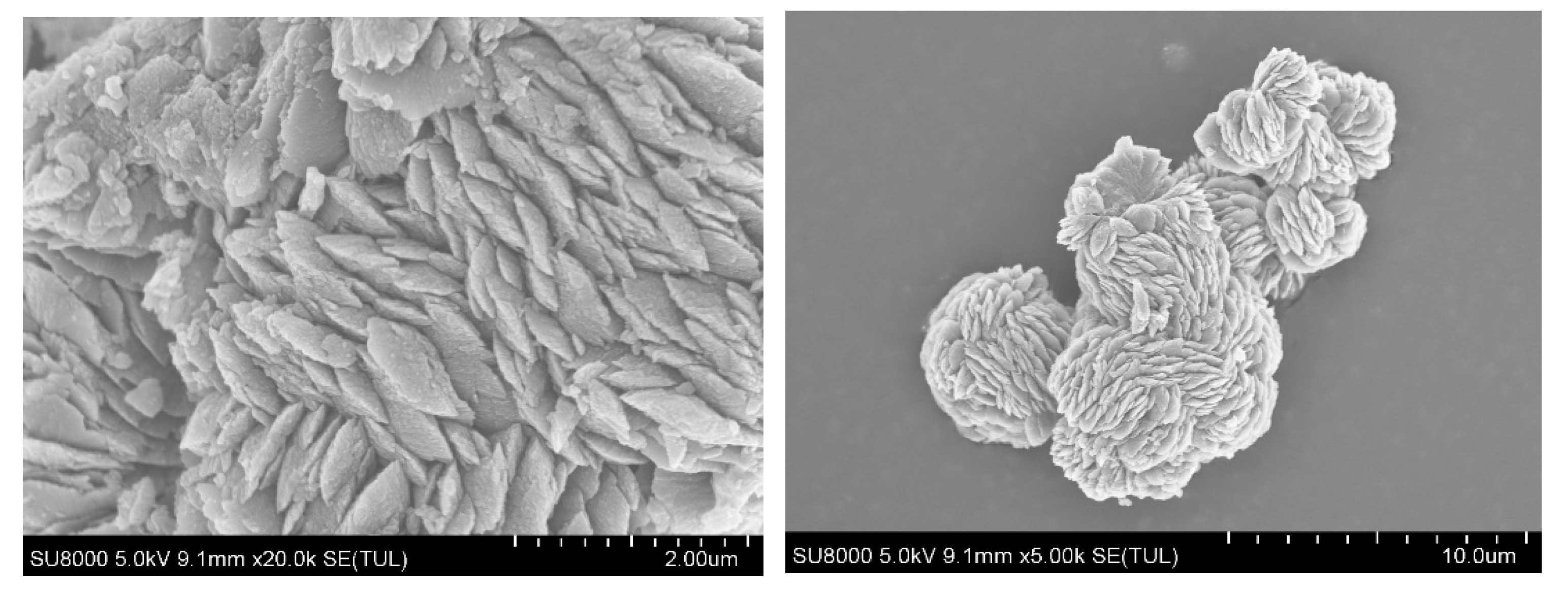 Molecules 27 08376 g004 Molecules 27 08376 g004