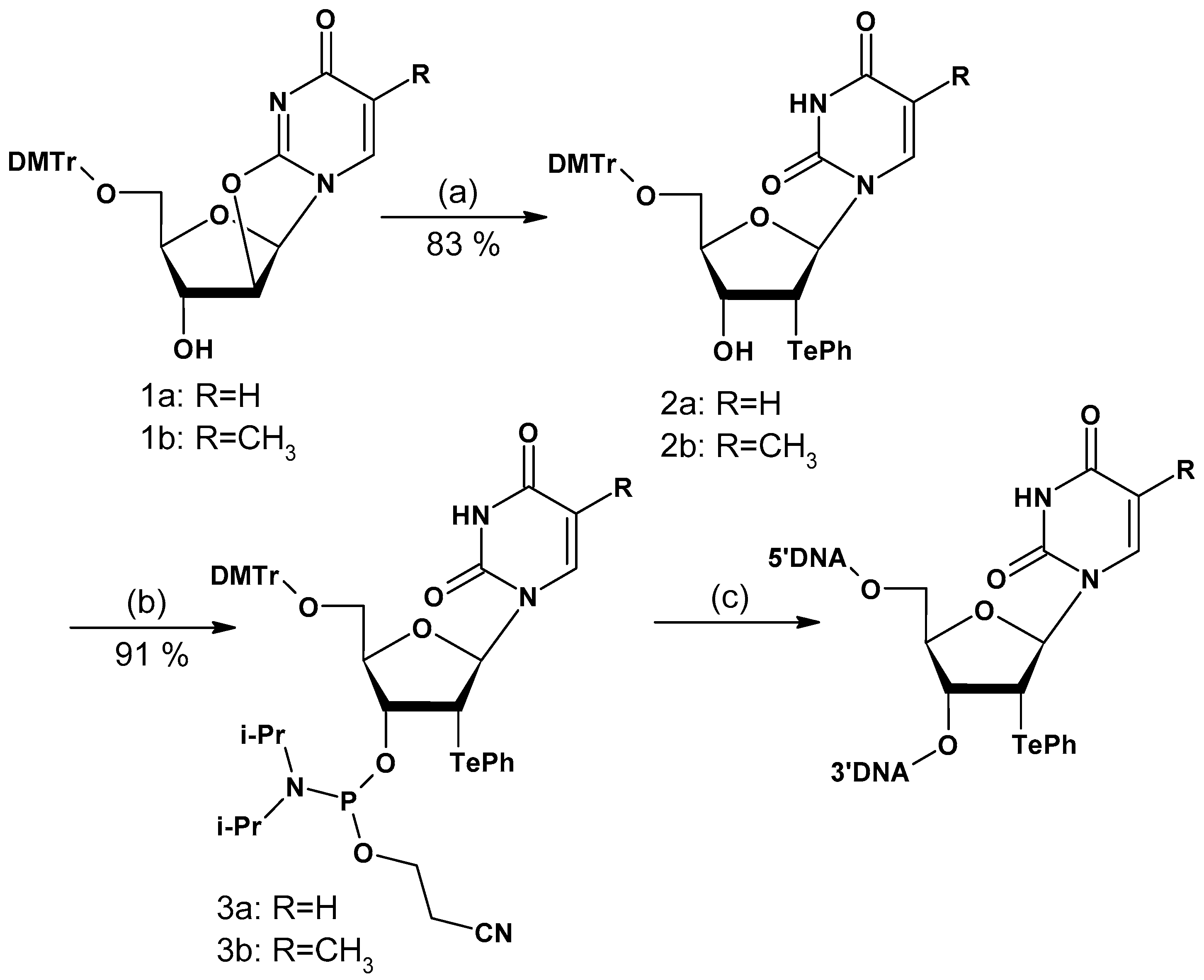 Molecules 27 08379 sch002 Molecules 27 08379 sch002