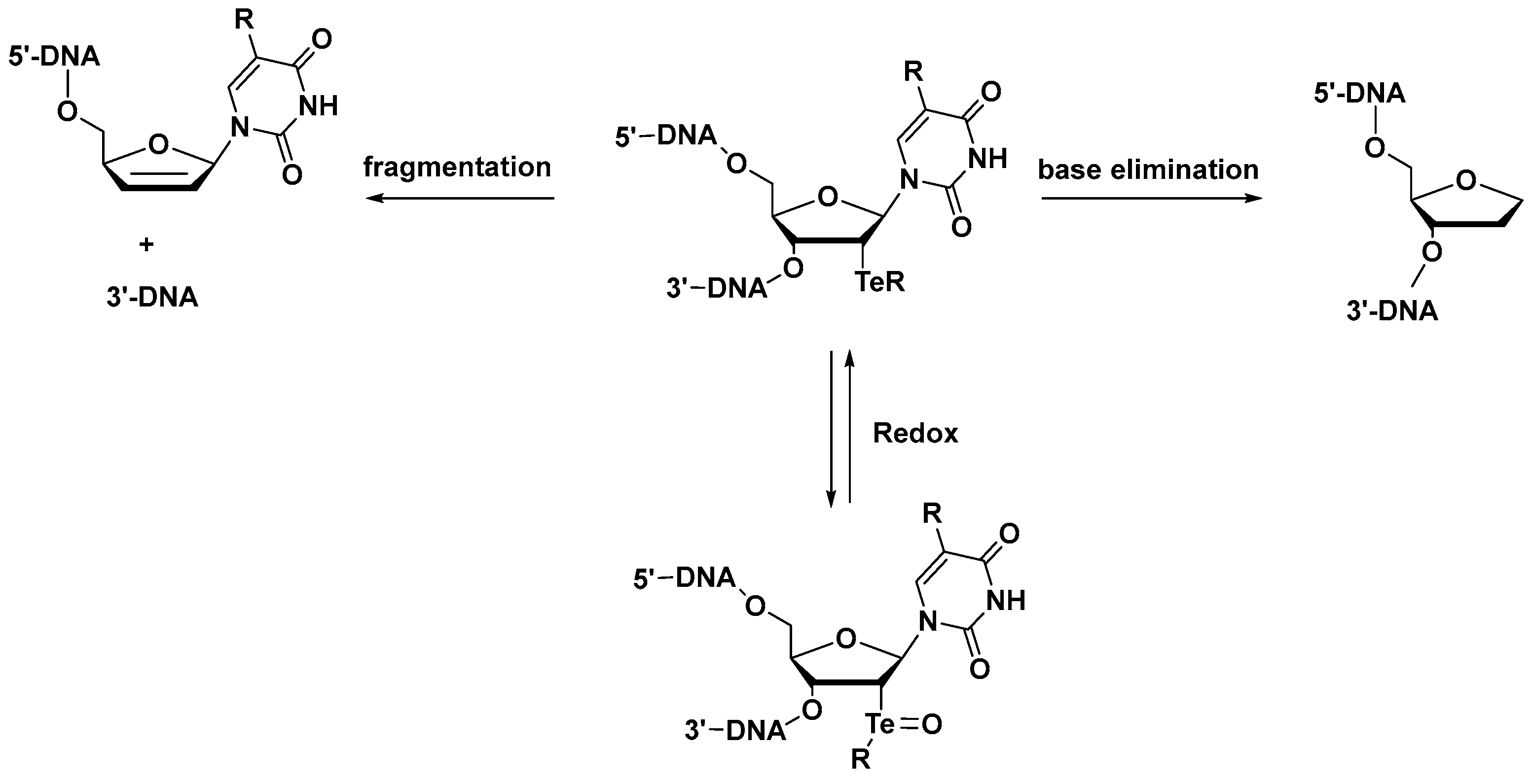 Molecules 27 08379 sch004 Molecules 27 08379 sch004