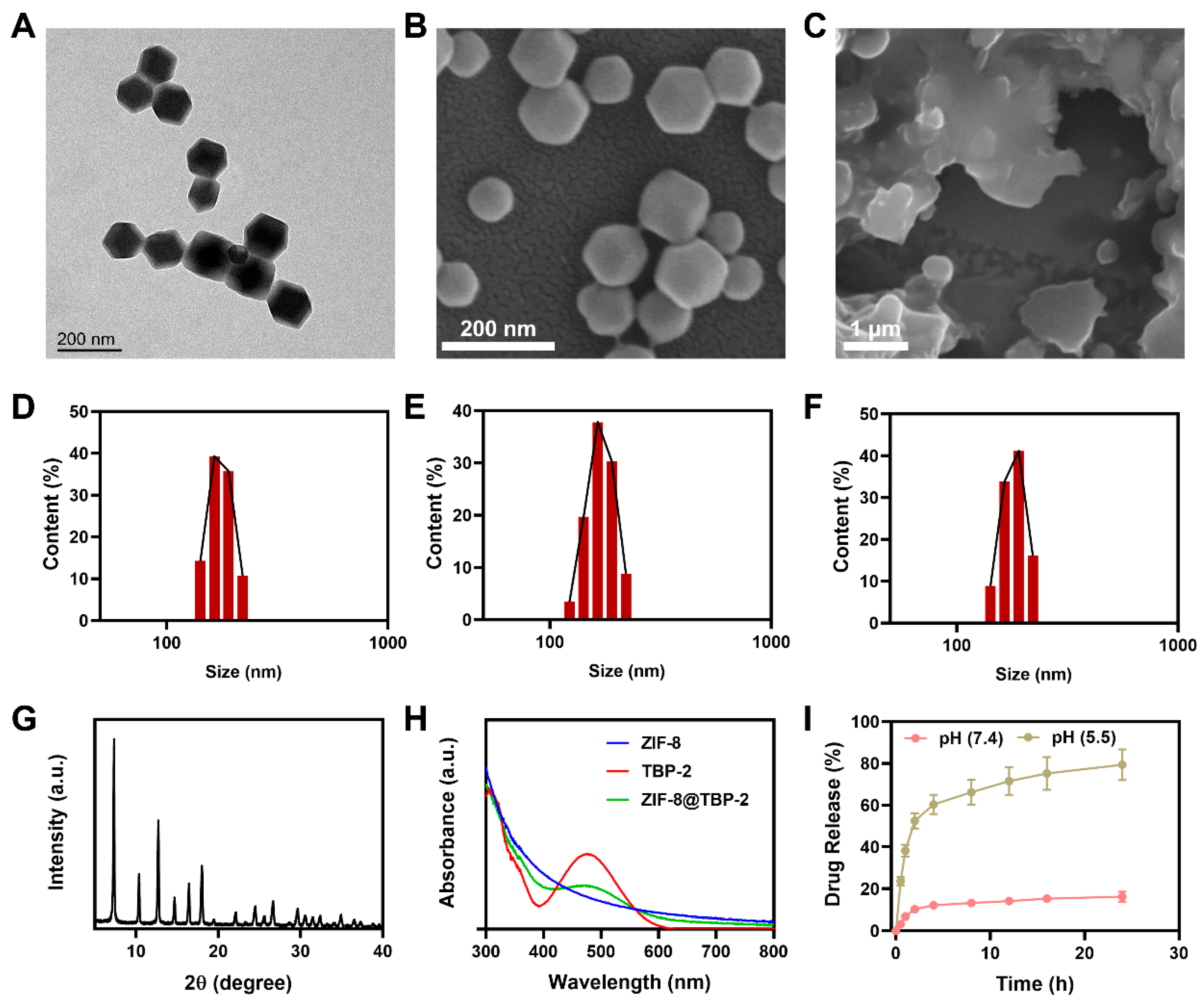 Molecules 27 08386 g002