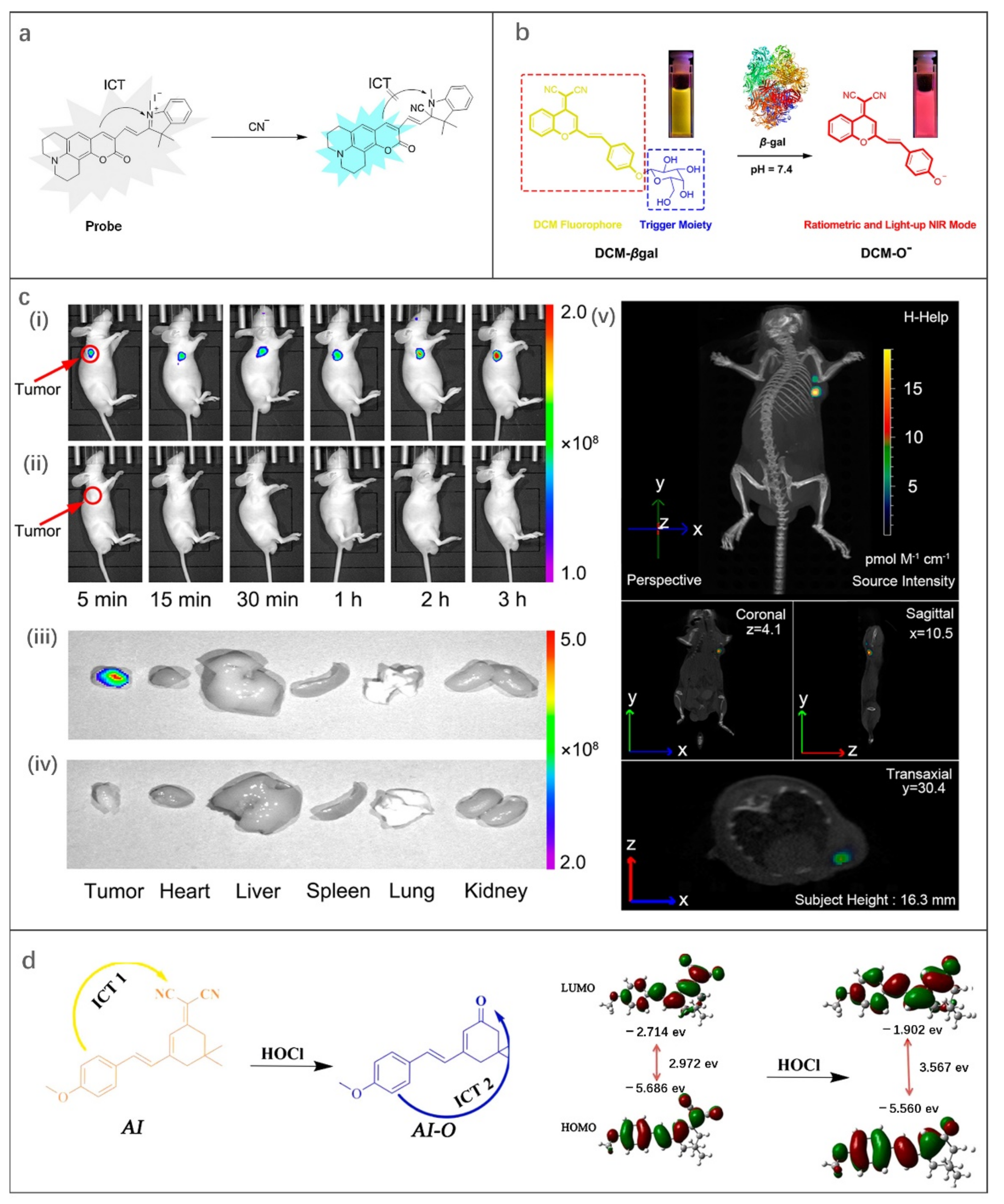 Molecules 27 08421 g004 Molecules 27 08421 g004