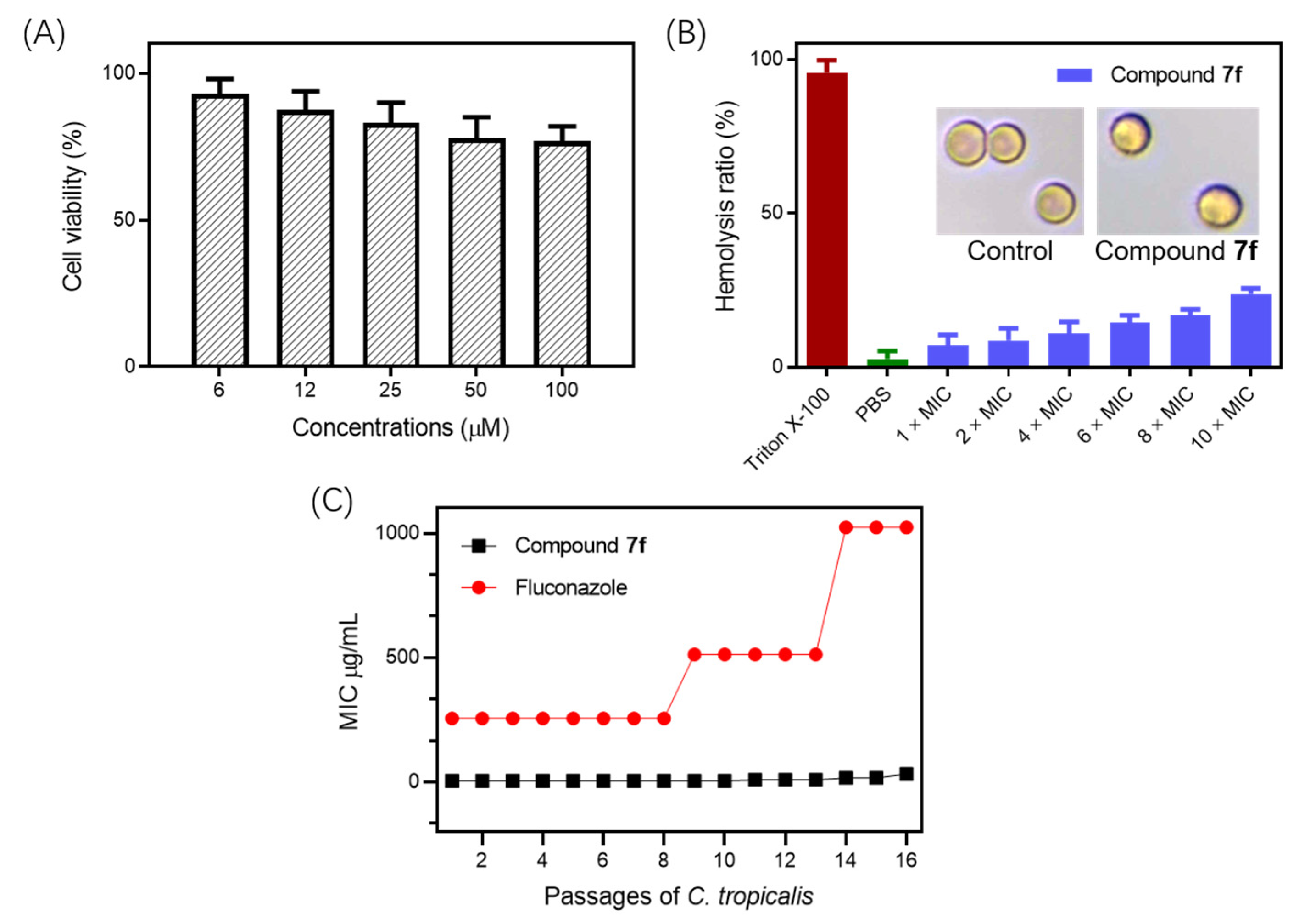 Molecules 27 08453 g004